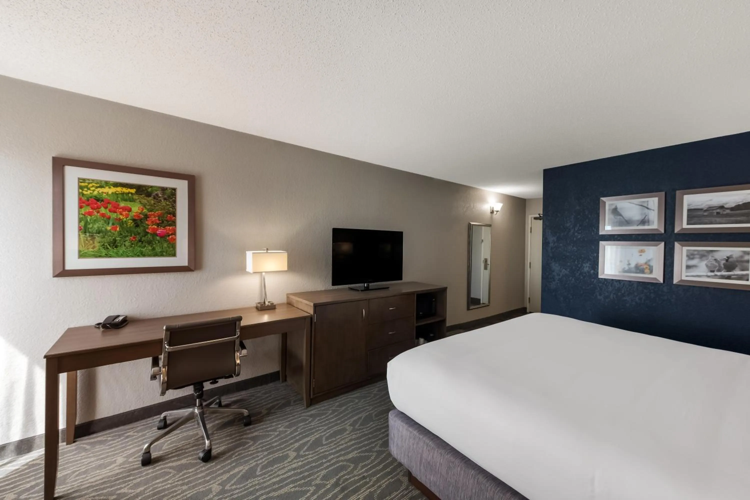 Bedroom, Bed in Comfort Inn & Suites Tipp City Dayton North I-75