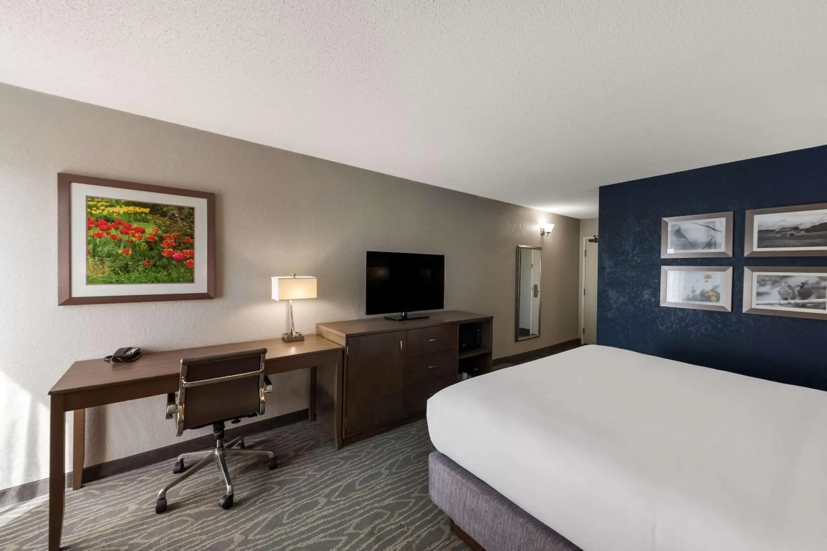 Bedroom, Bed in Comfort Inn & Suites Tipp City Dayton North I-75 Bedroom, Bed in Comfort Inn & Suites Tipp City Dayton North I-75