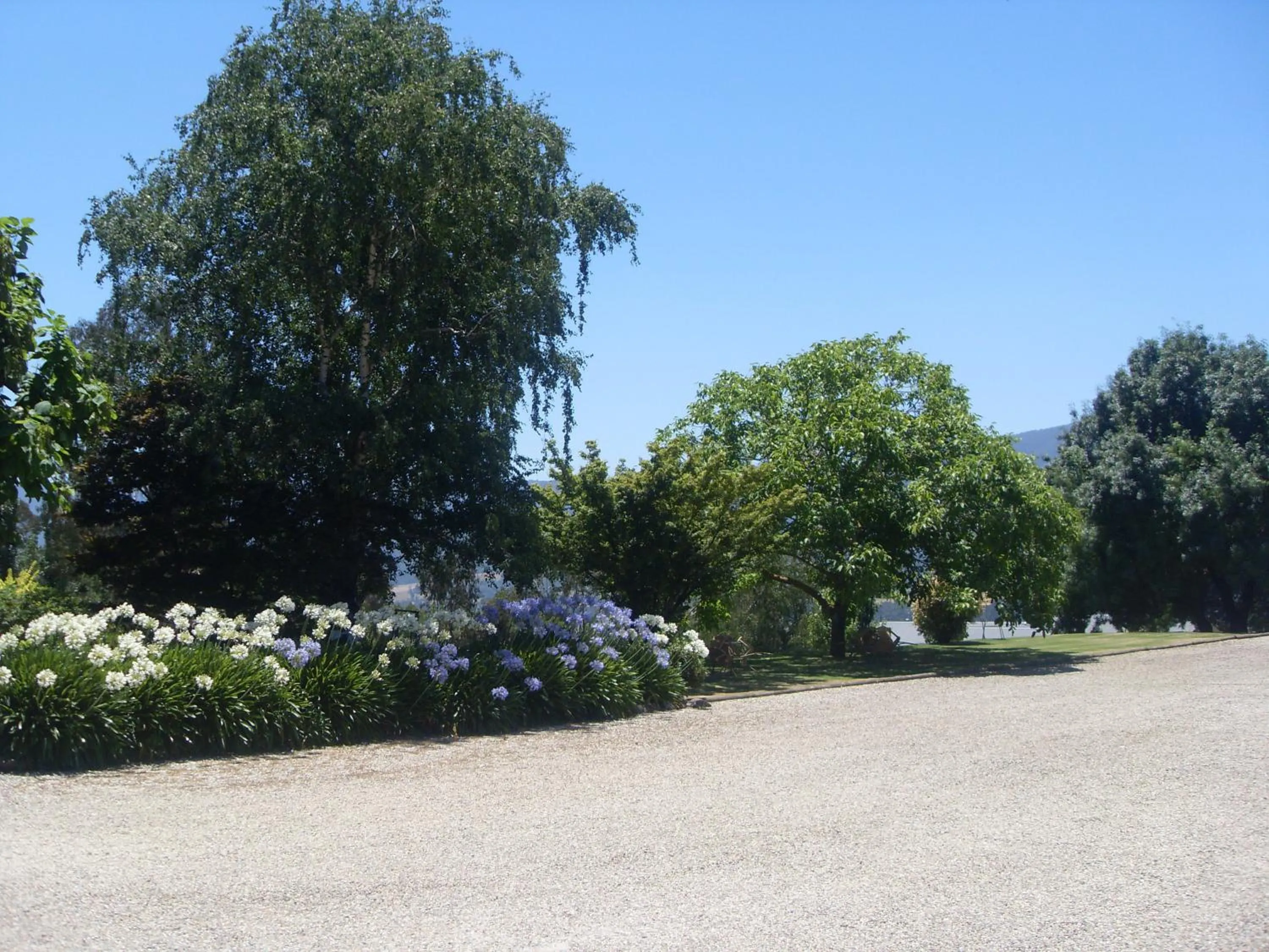 Garden in Allamar Motel