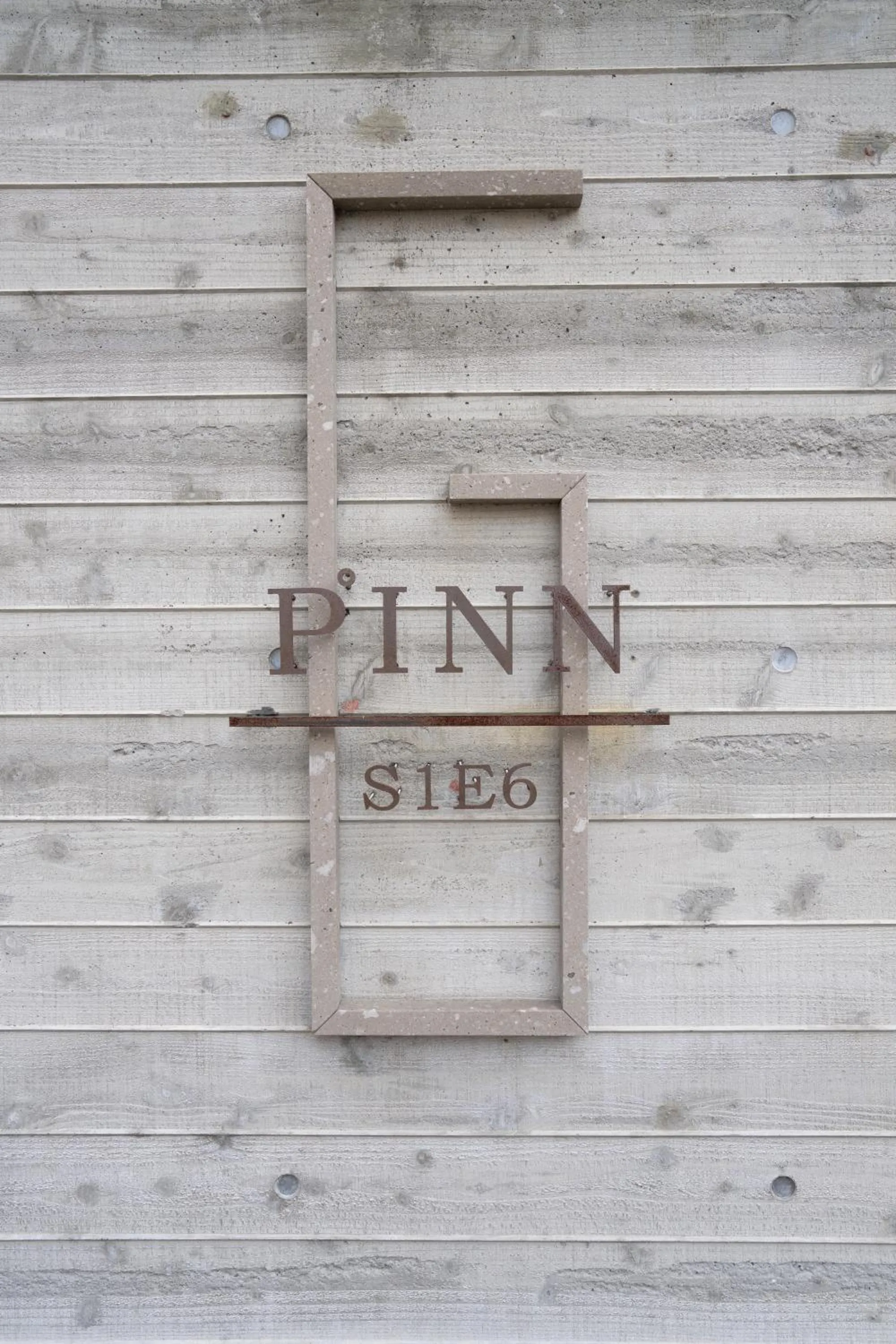 PINN-S1E6