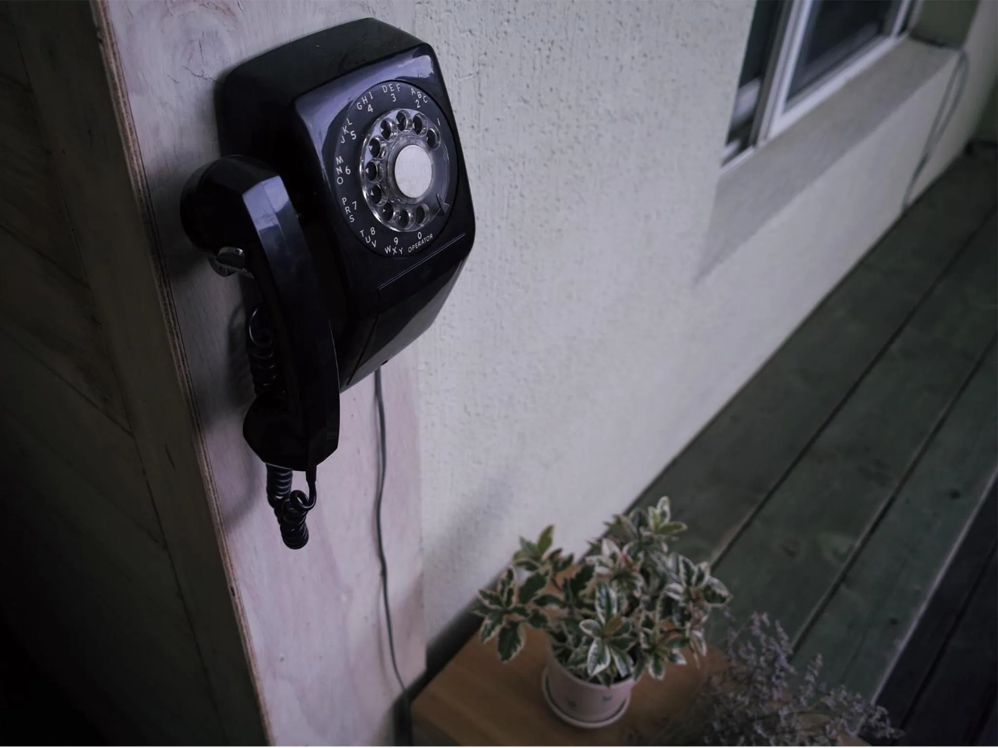 Garden in Gyeongju Momojane Guesthouse