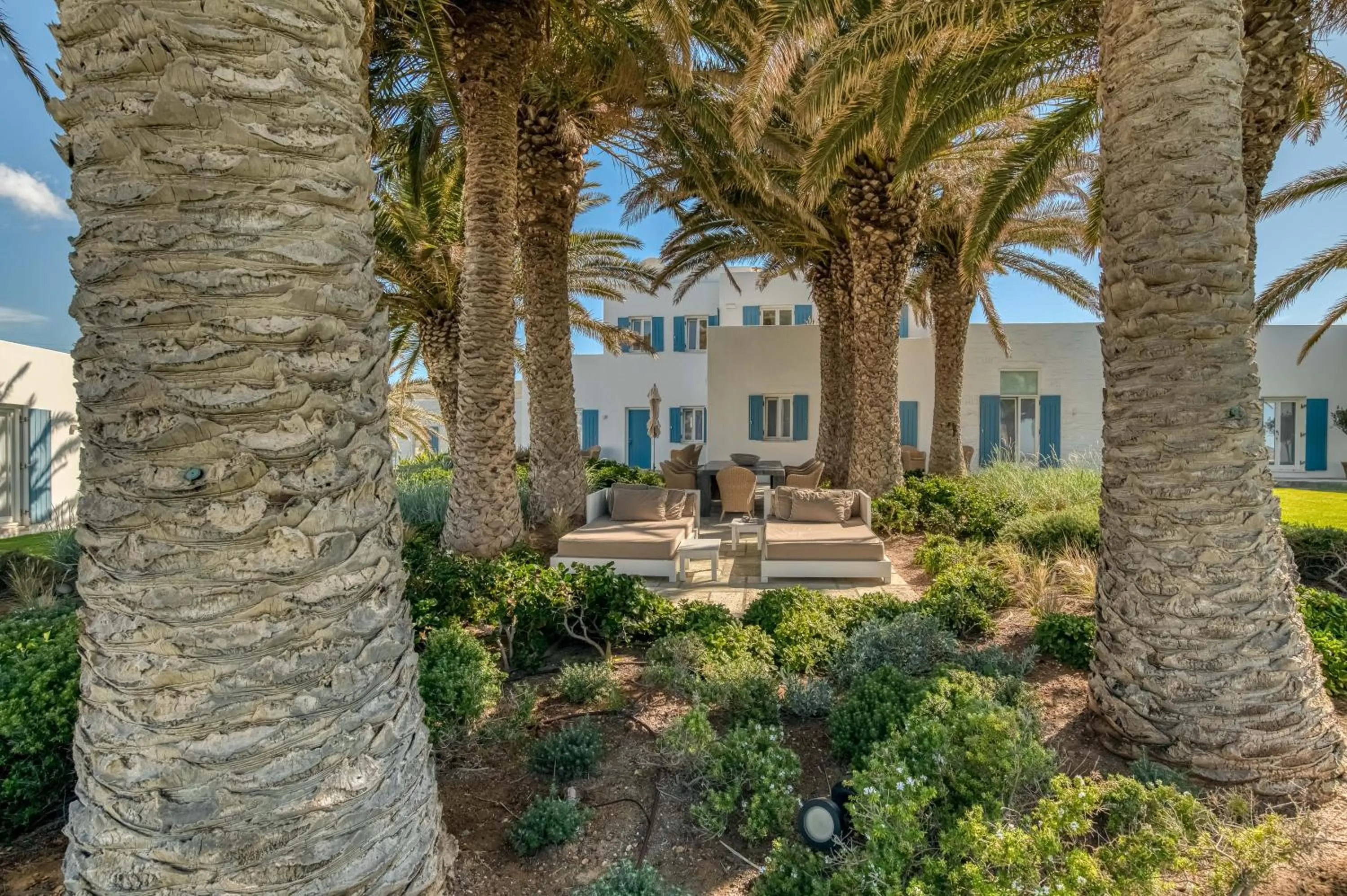 Garden in Villa Bellonia