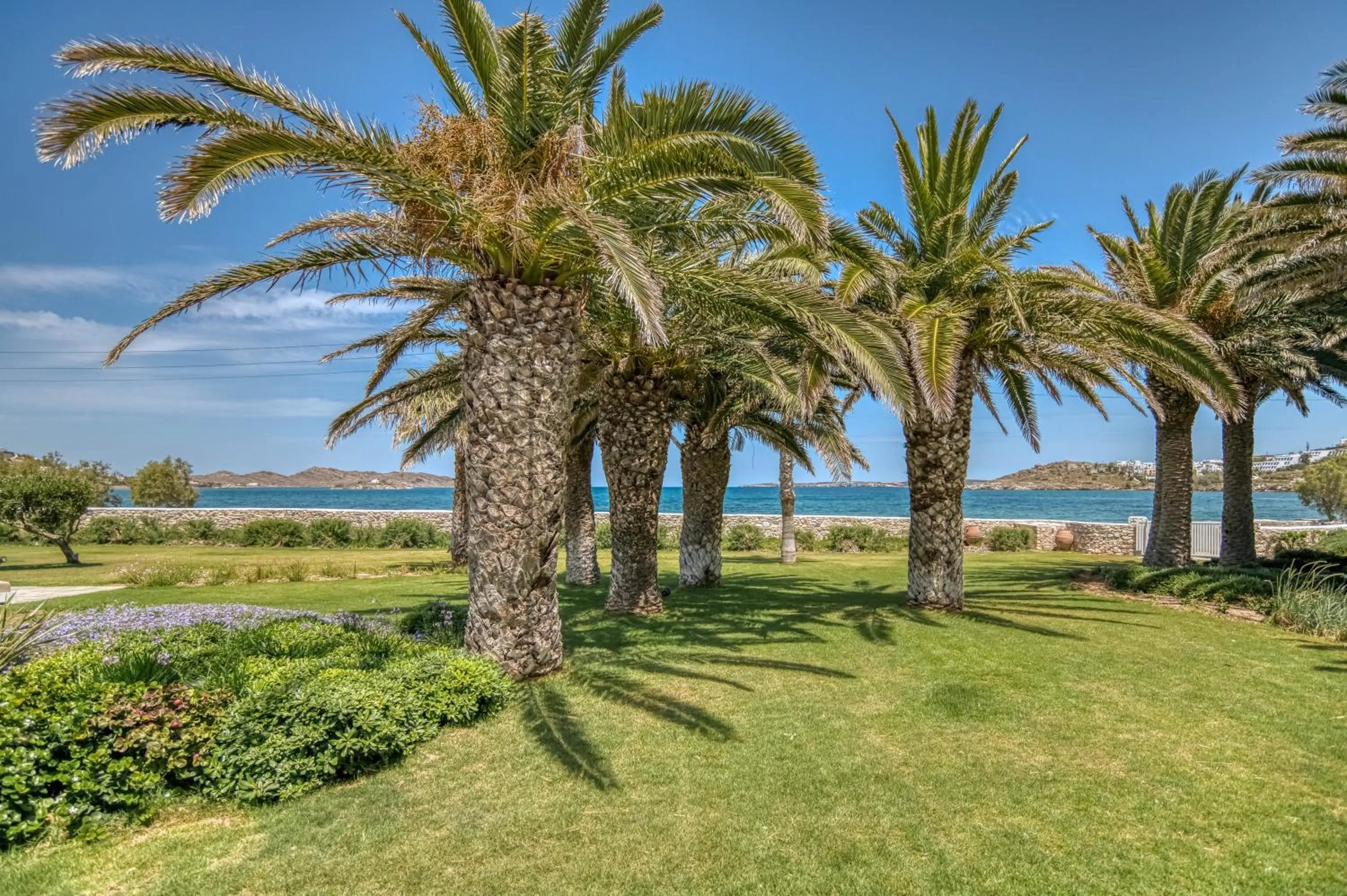 Garden view in Villa Bellonia