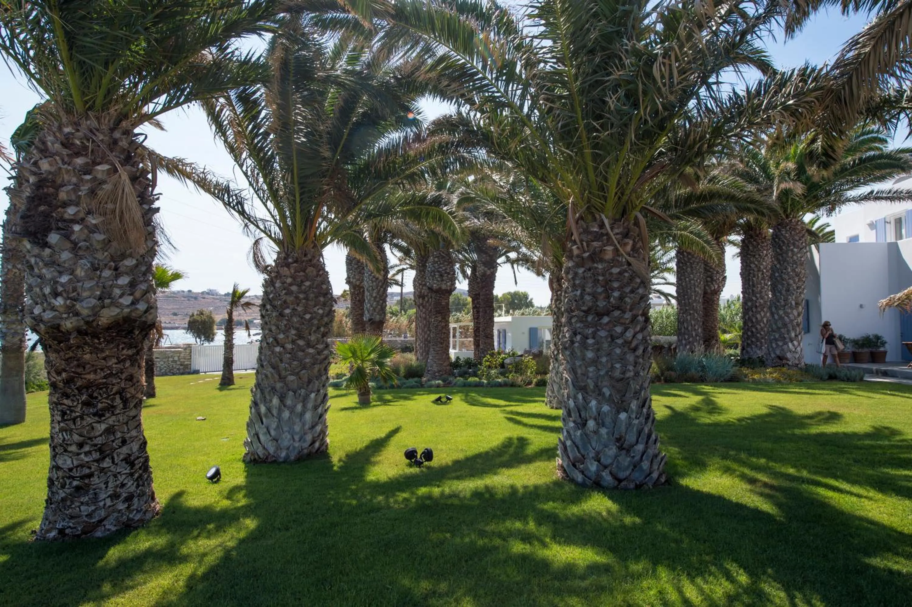 Garden in Villa Bellonia