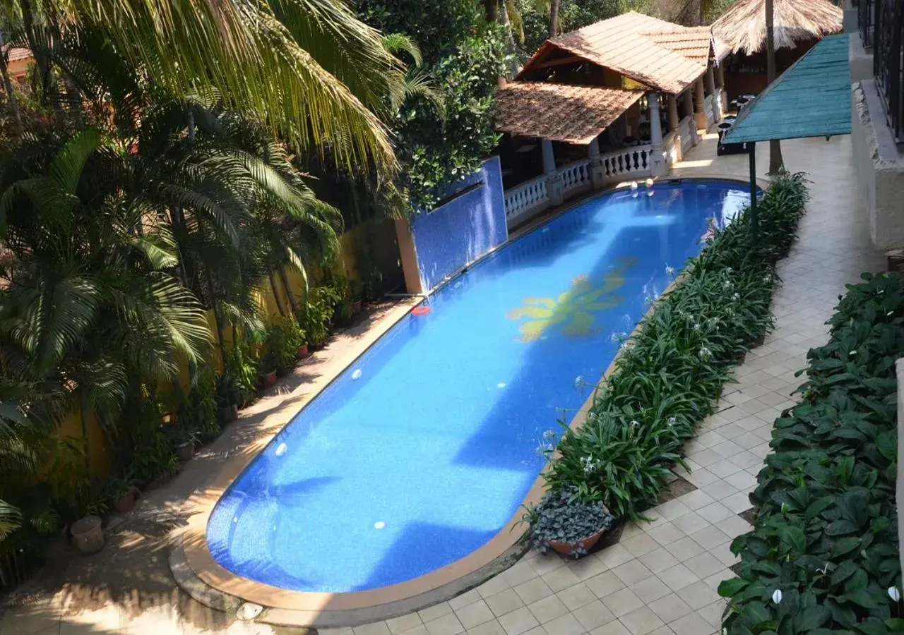 Swimming pool in Tangerine Boutique Resort Swimming pool in Tangerine Boutique Resort