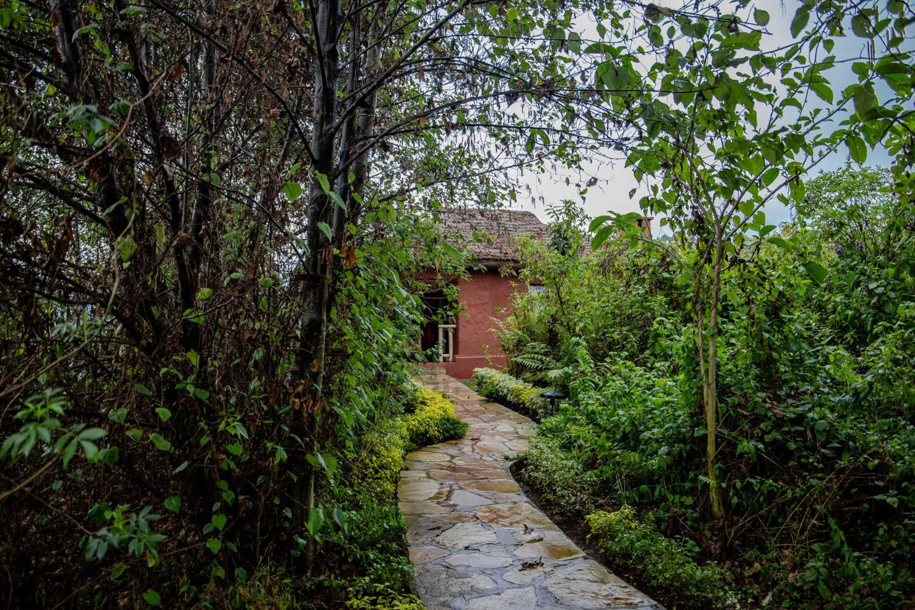 Natural landscape in Ingagi Park View Lodge