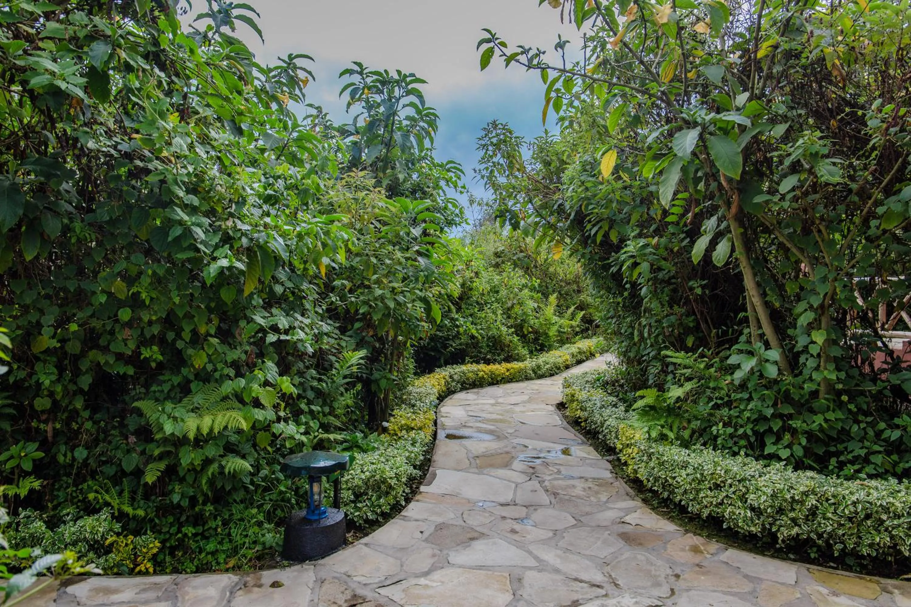 Garden in Ingagi Park View Lodge