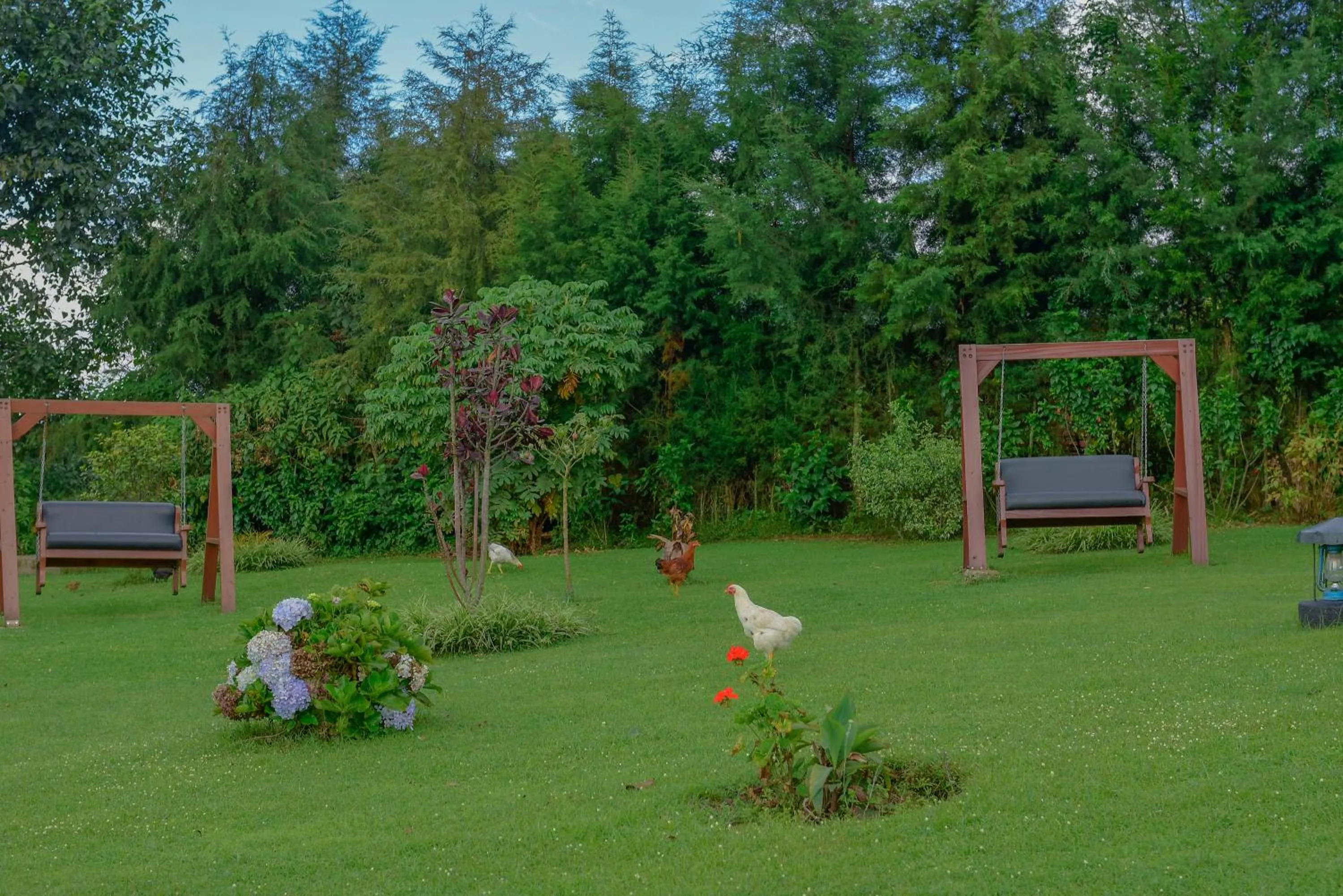 Ingagi Park View Lodge