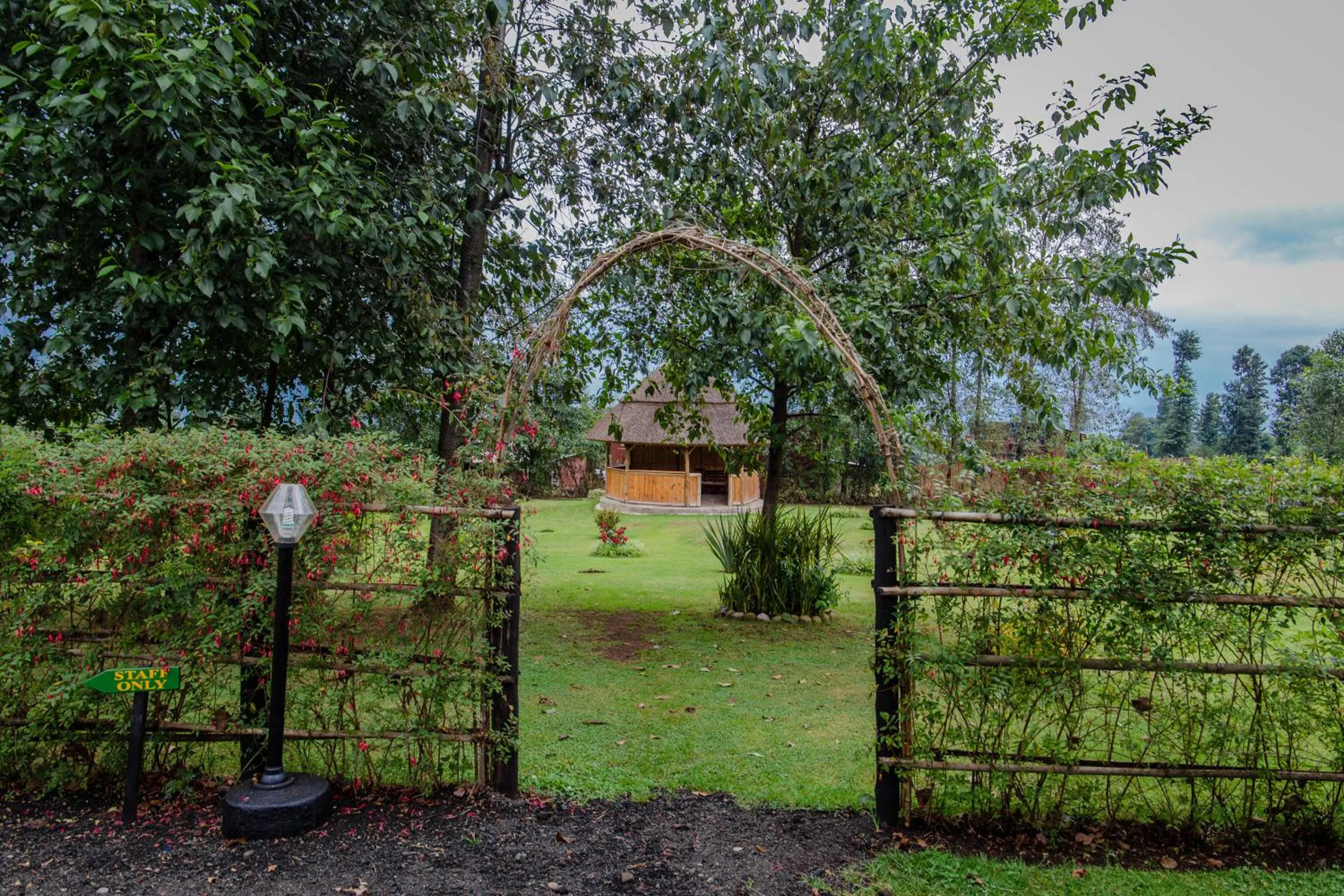 Garden in Ingagi Park View Lodge