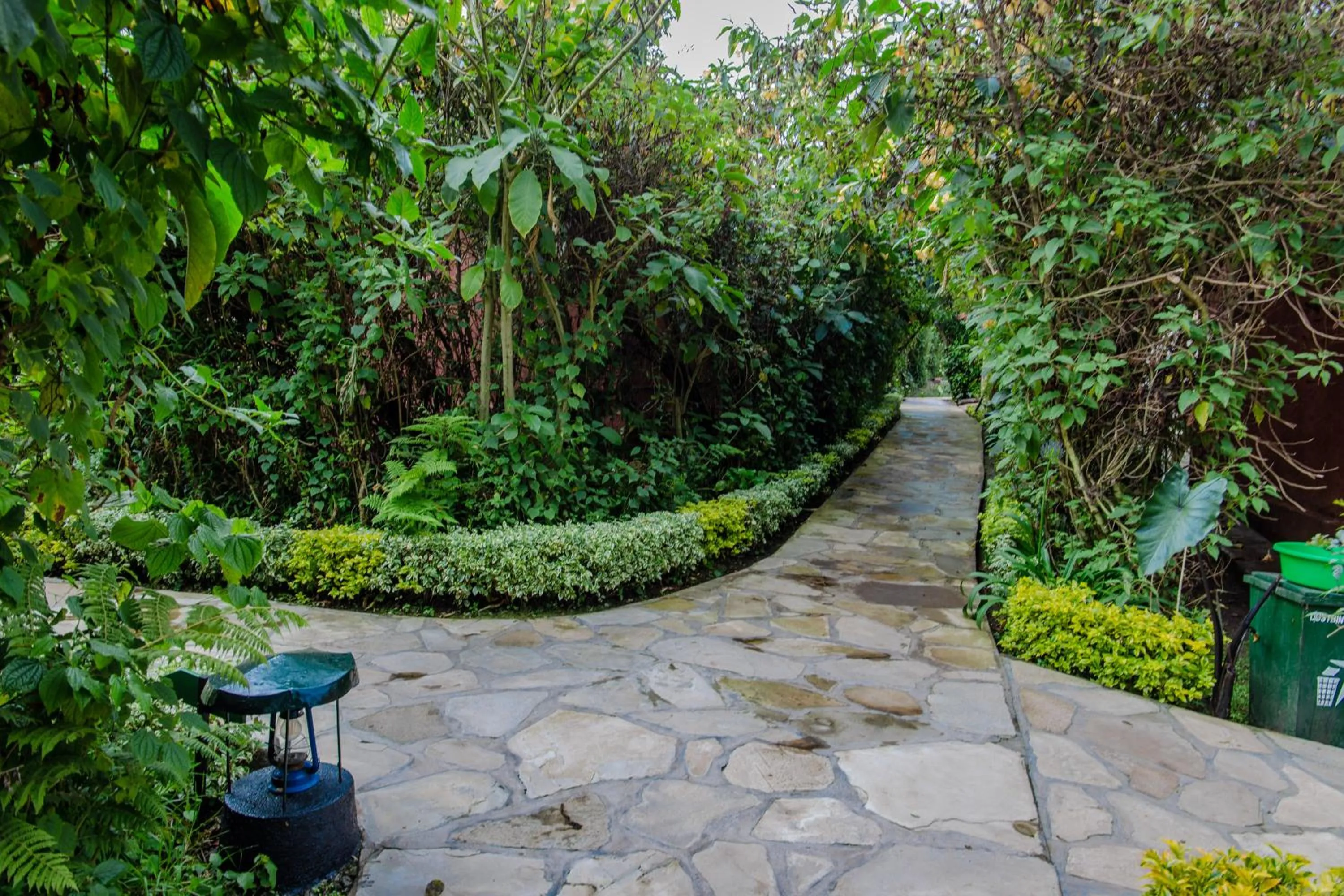 Garden in Ingagi Park View Lodge