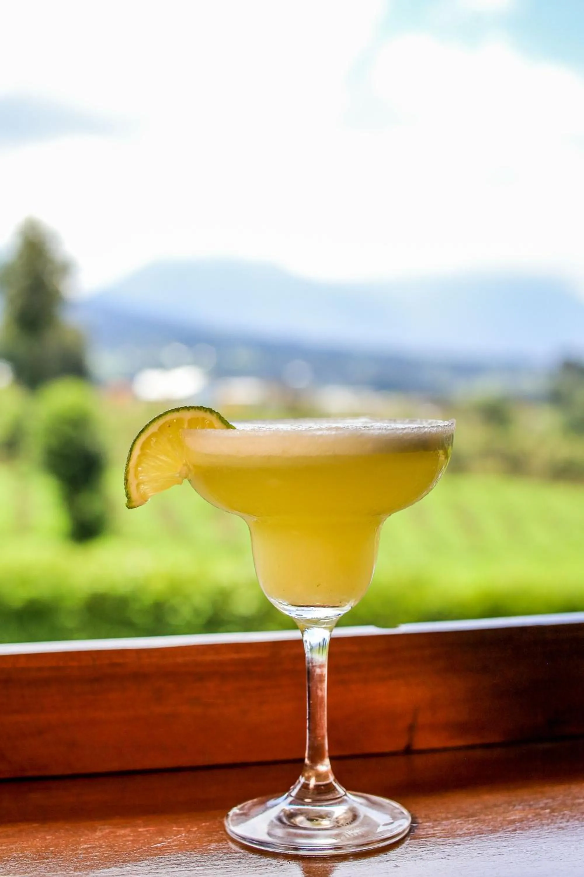 Ingagi Park View Lodge