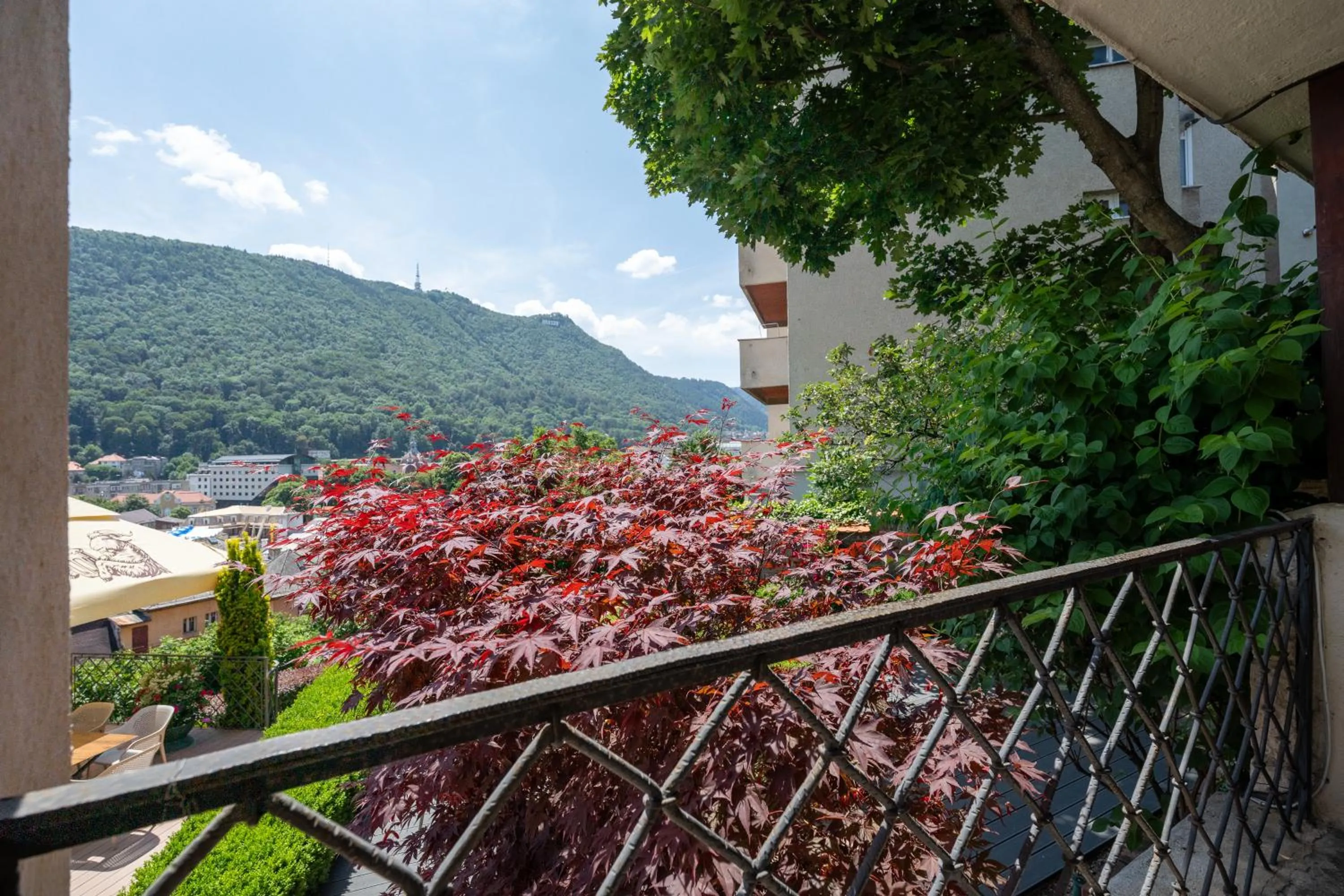 View (from property/room) in Casa Cranta