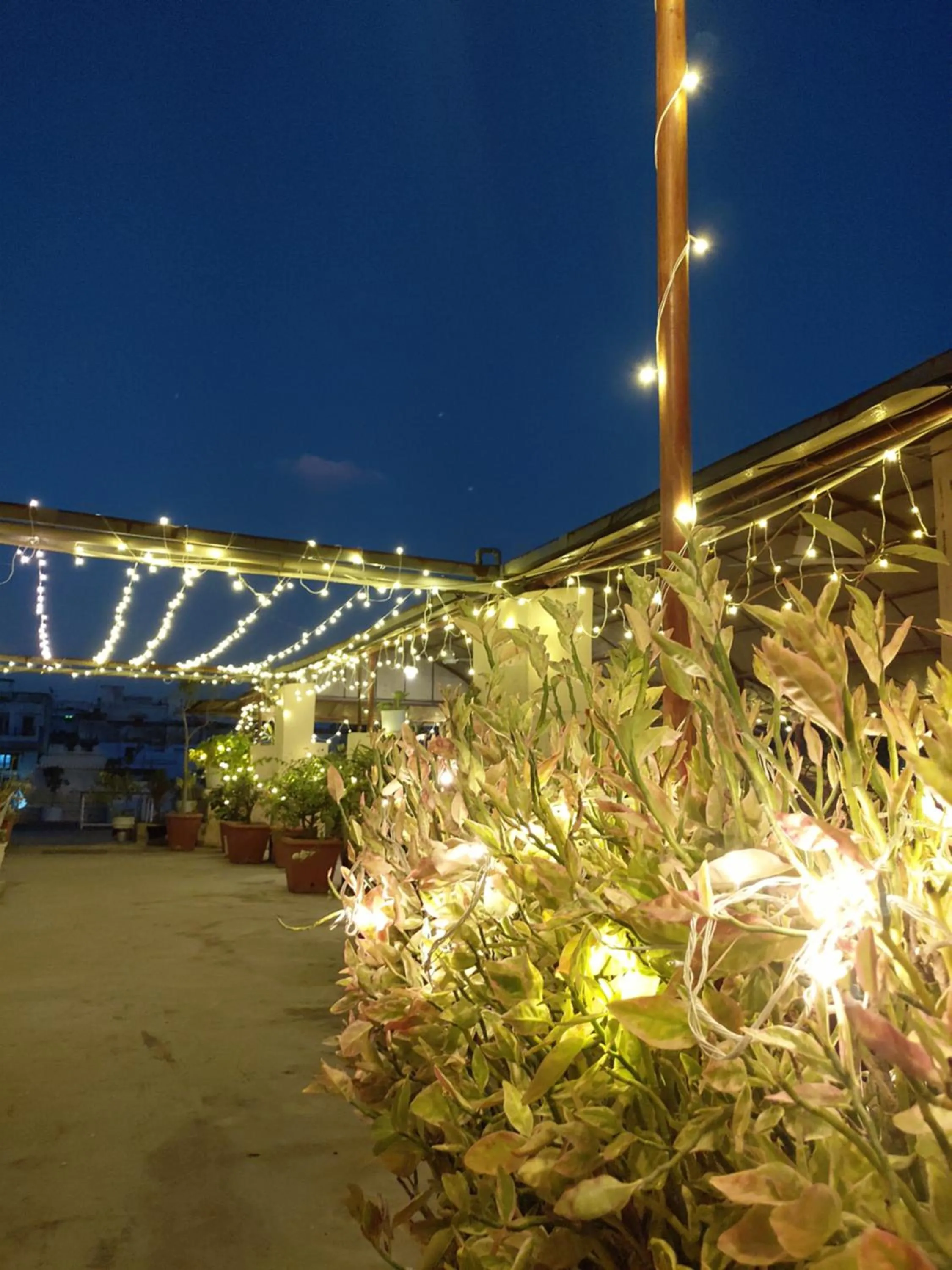 Restaurant/places to eat in Hotel Raj Palace Udaipur