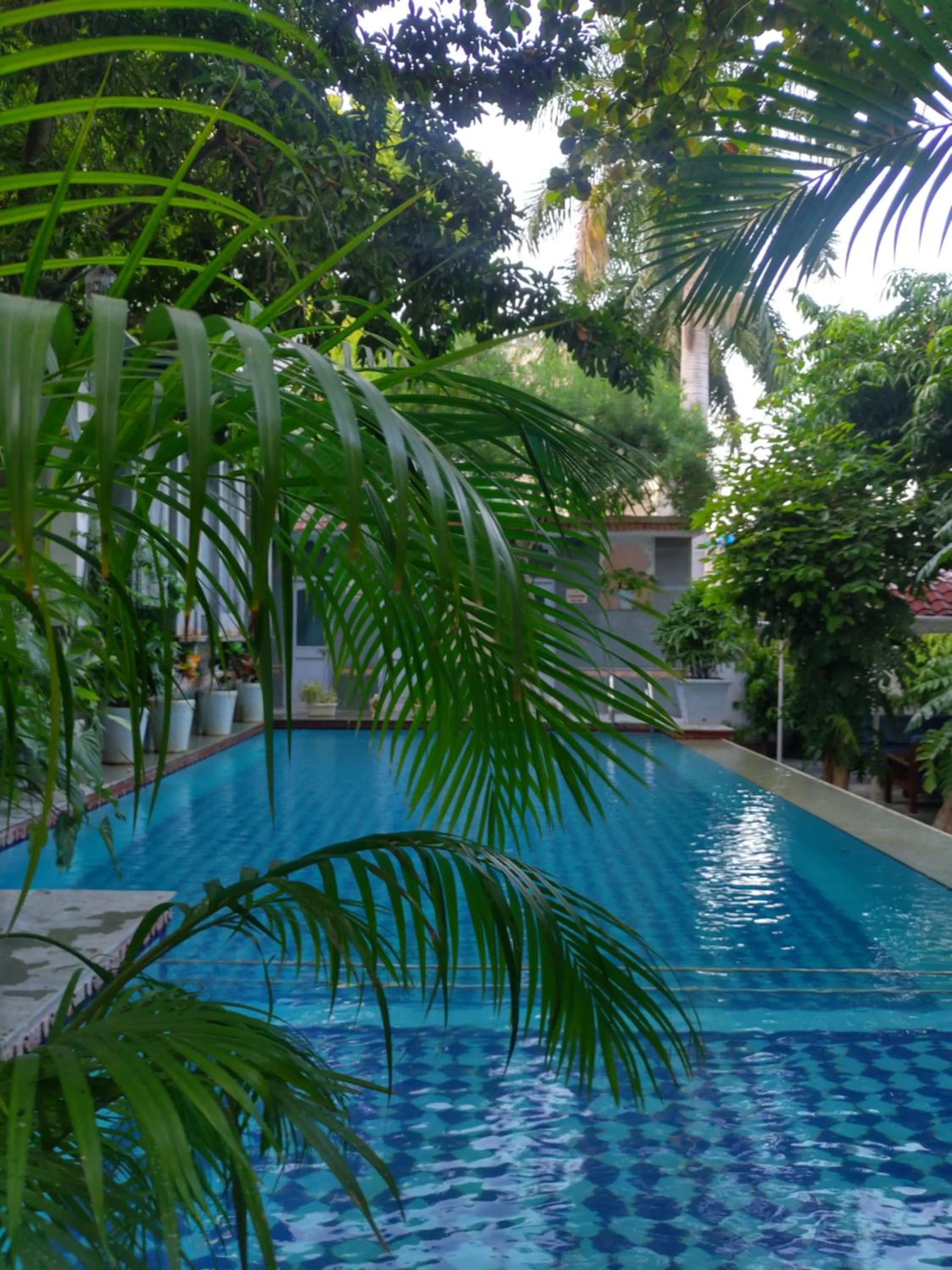 Swimming pool in Hotel Raj Palace Udaipur