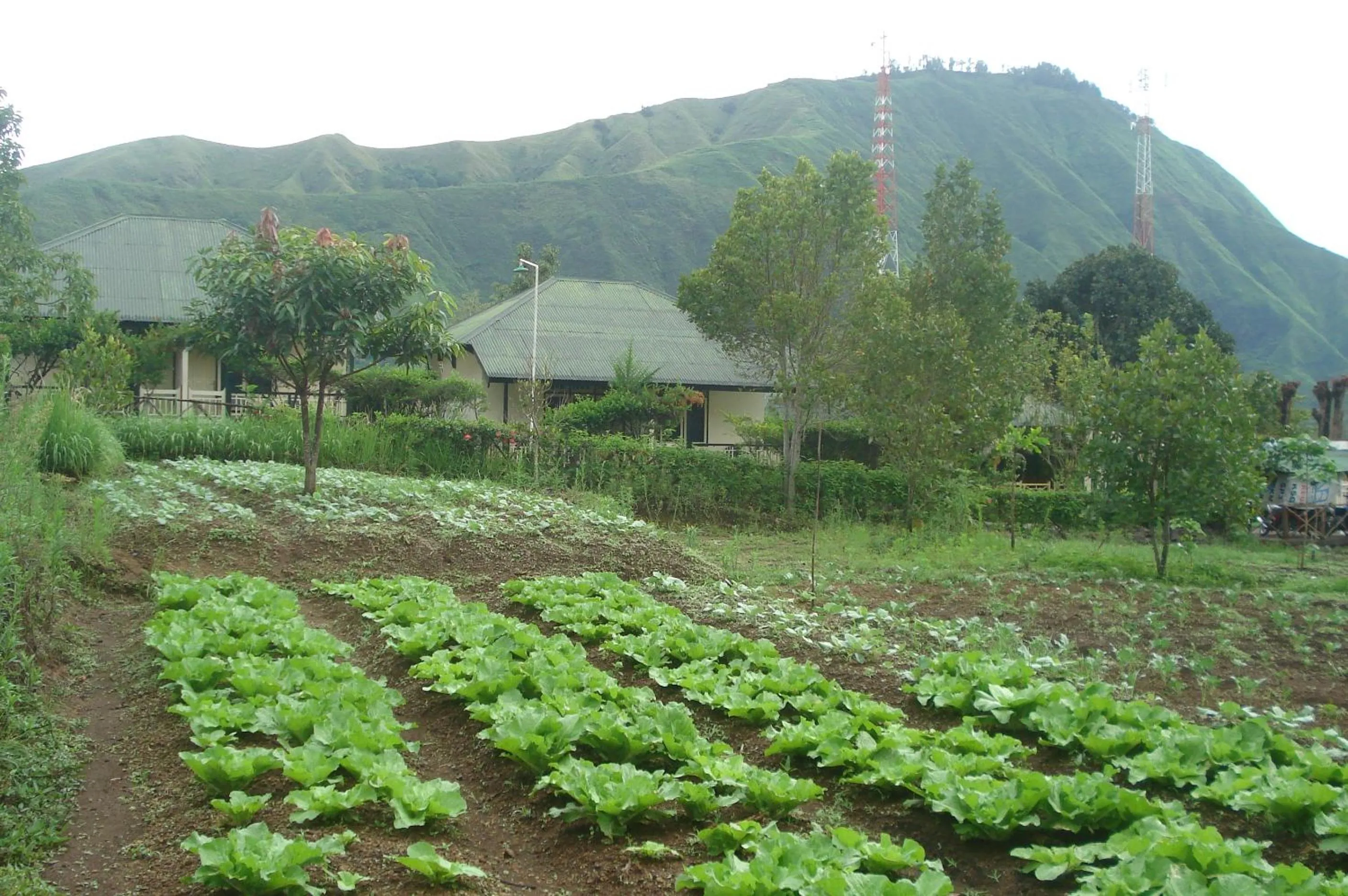 Neighbourhood in Lembah Rinjani Villa & Resto Syariah by ecommerceloka