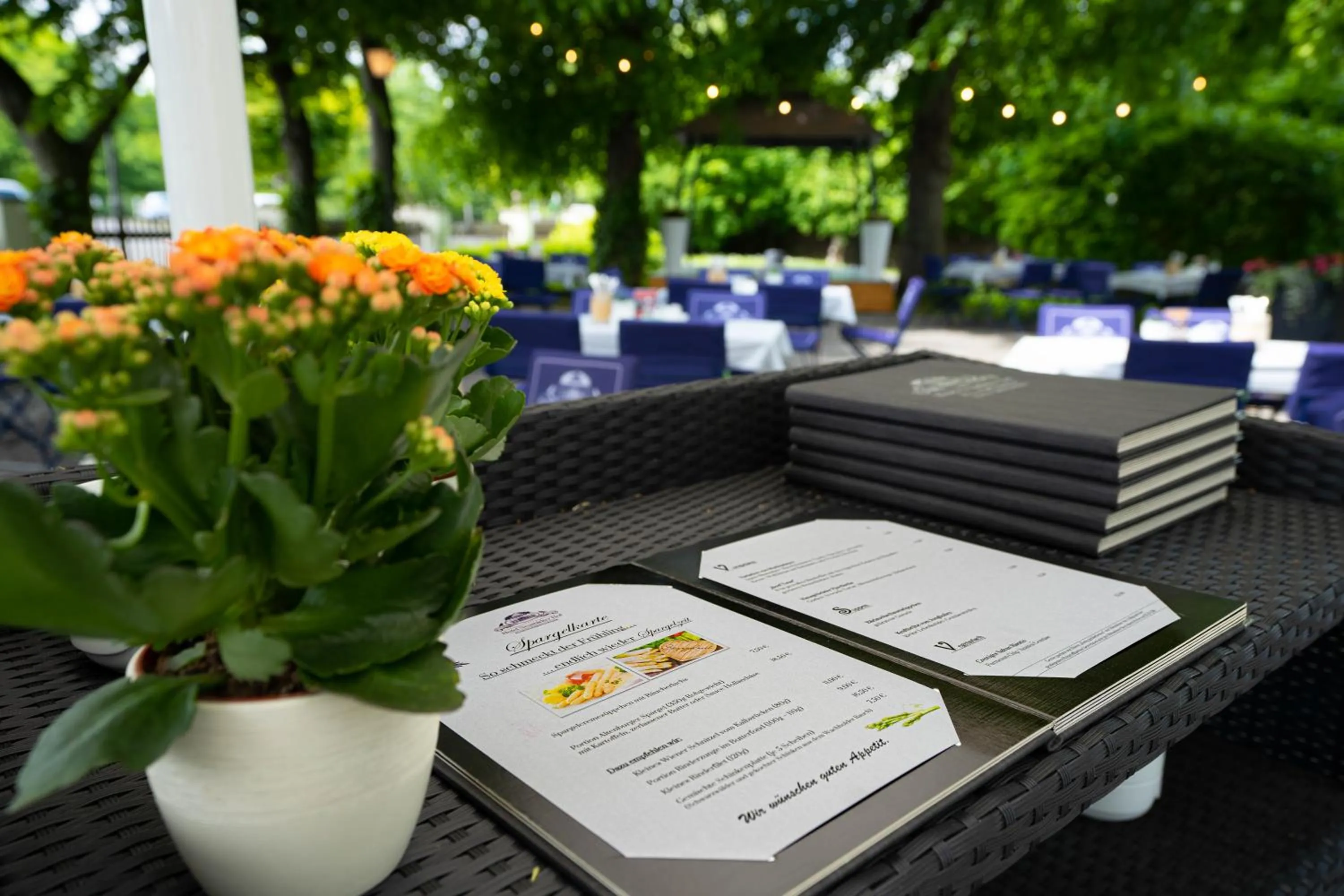 Restaurant/places to eat in Hotel Neustädter Hof