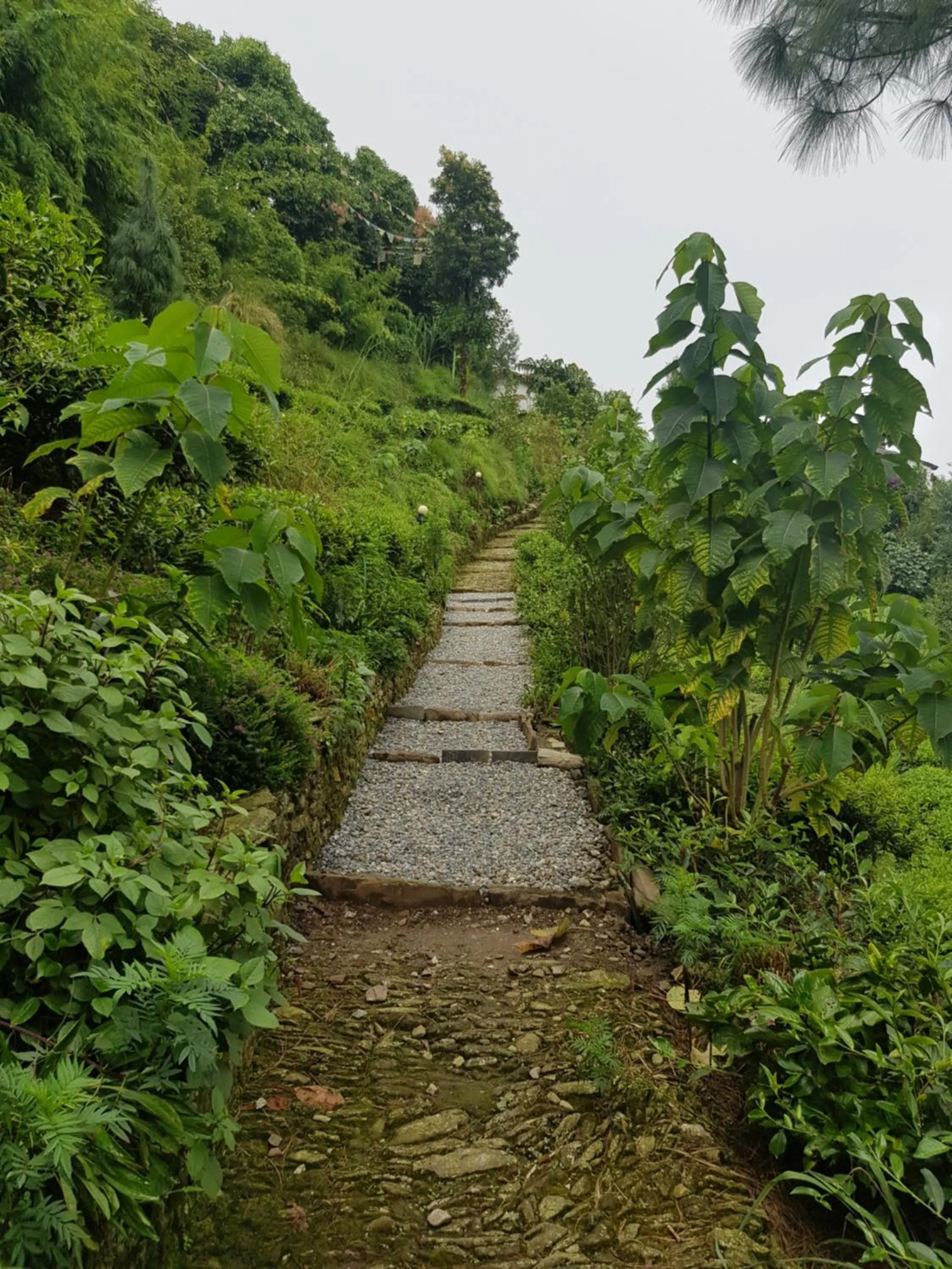 Garden in ES Deurali Resort