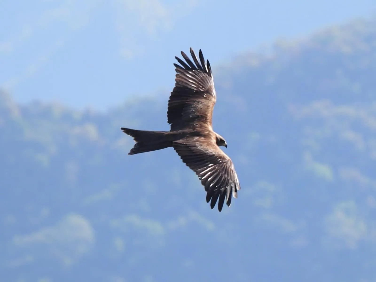 Day in ES Deurali Resort