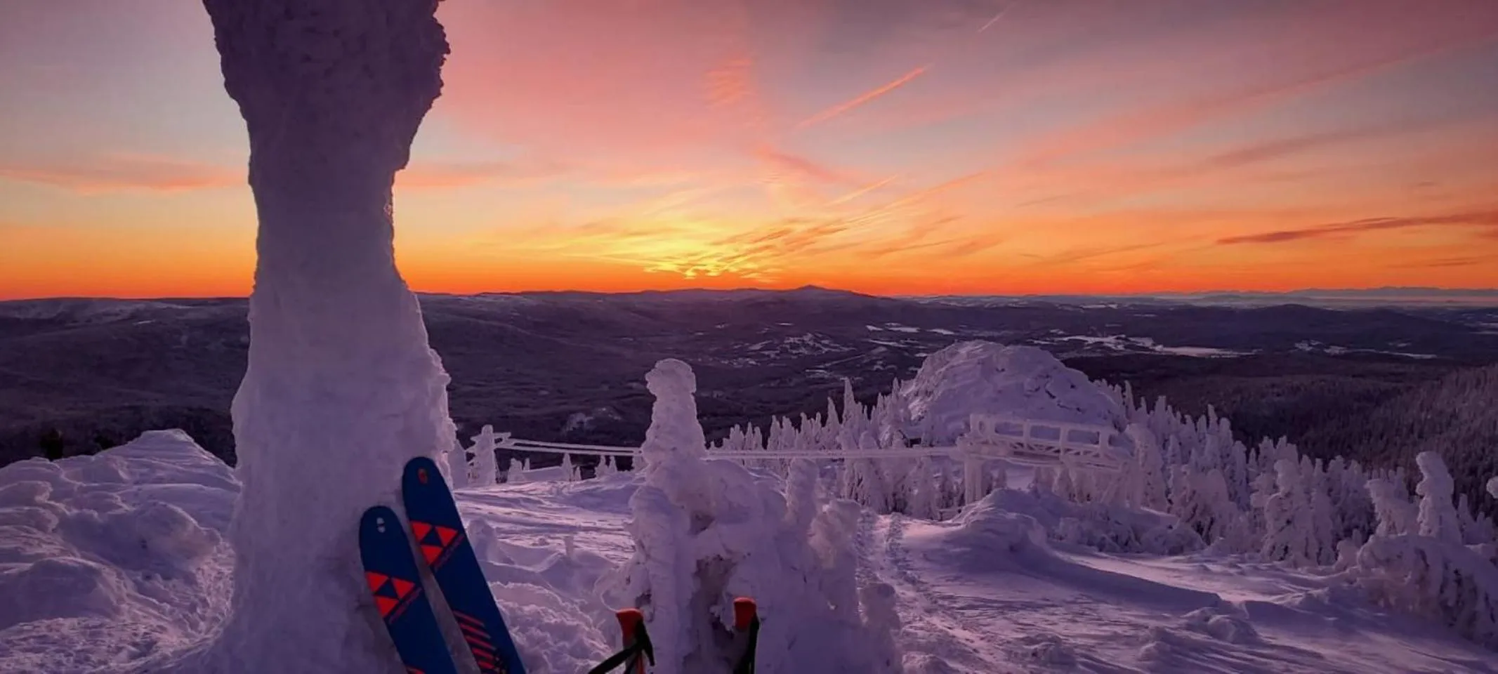 Berghotel Mooshütte am Arber, Naturidyll auf 950m