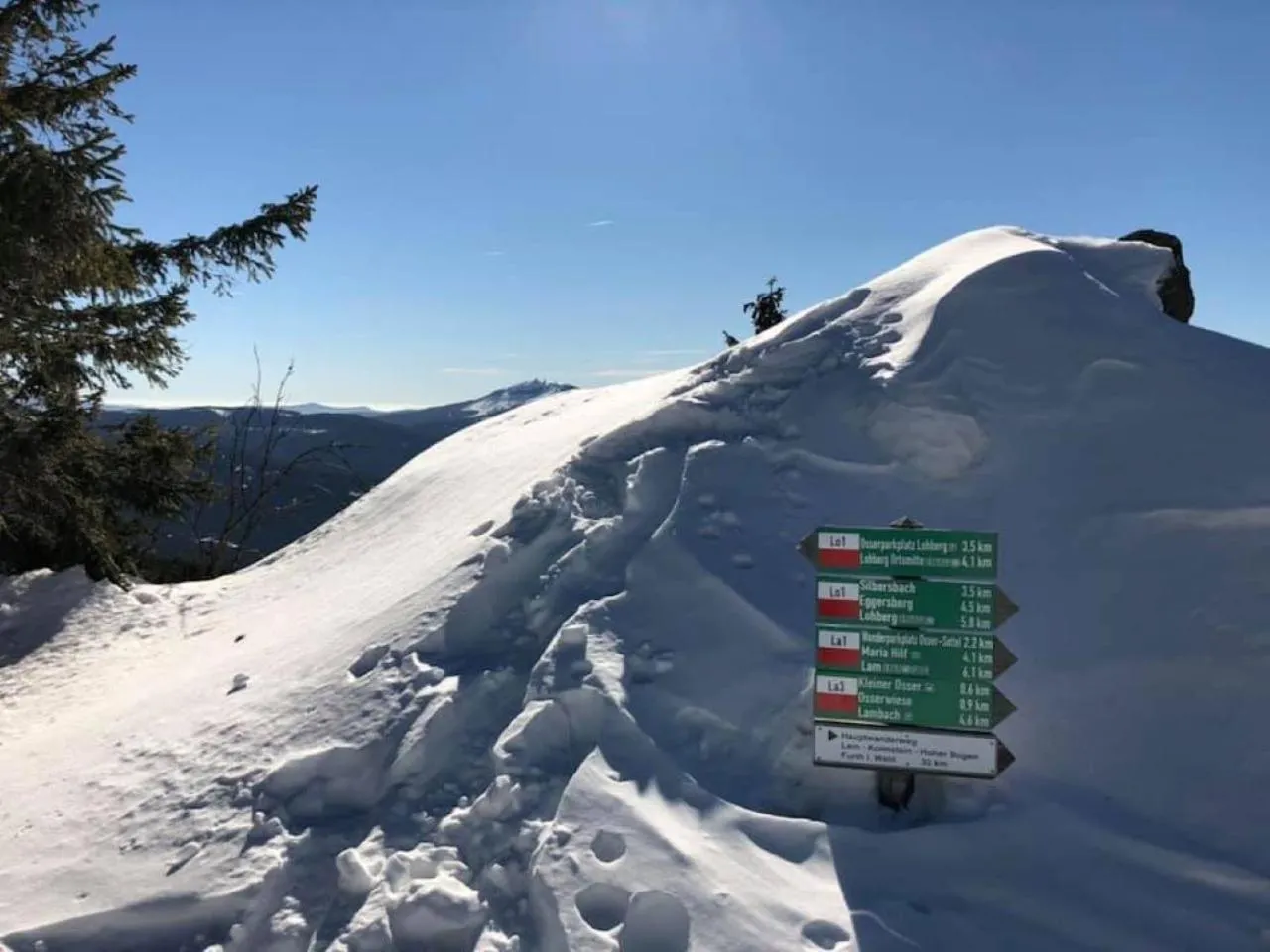 Berghotel Mooshütte am Arber, Naturidyll auf 950m