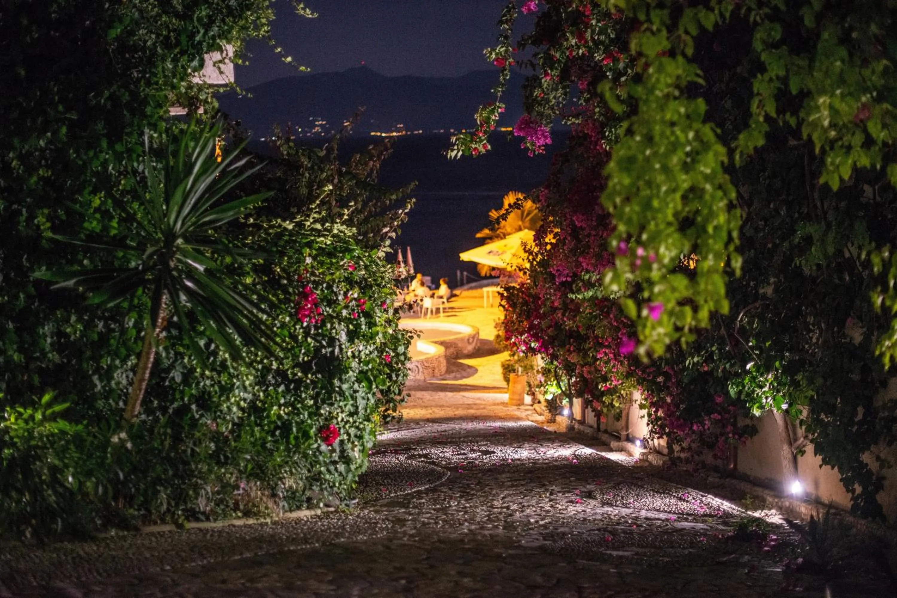 Garden in Bougainville Bay Apartments