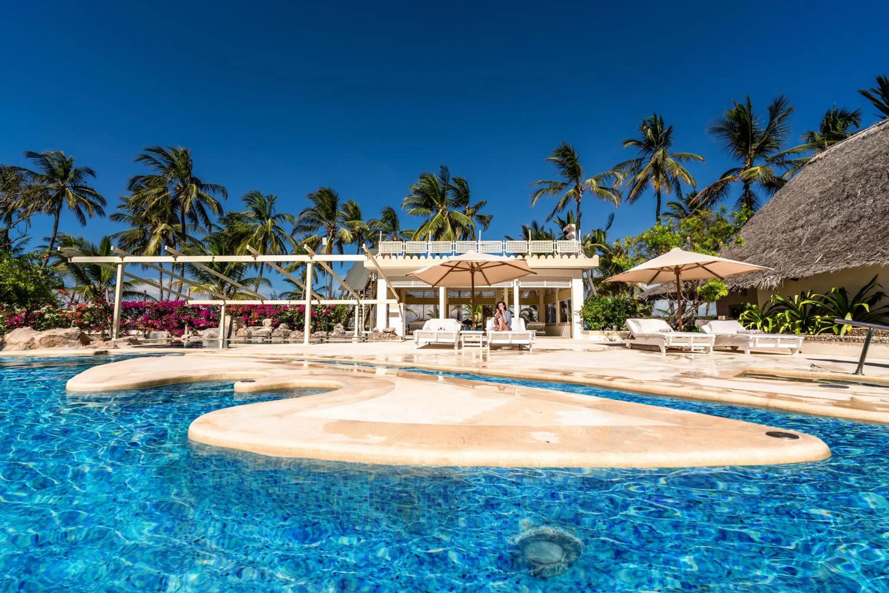 Day in Diamonds Dream of Africa