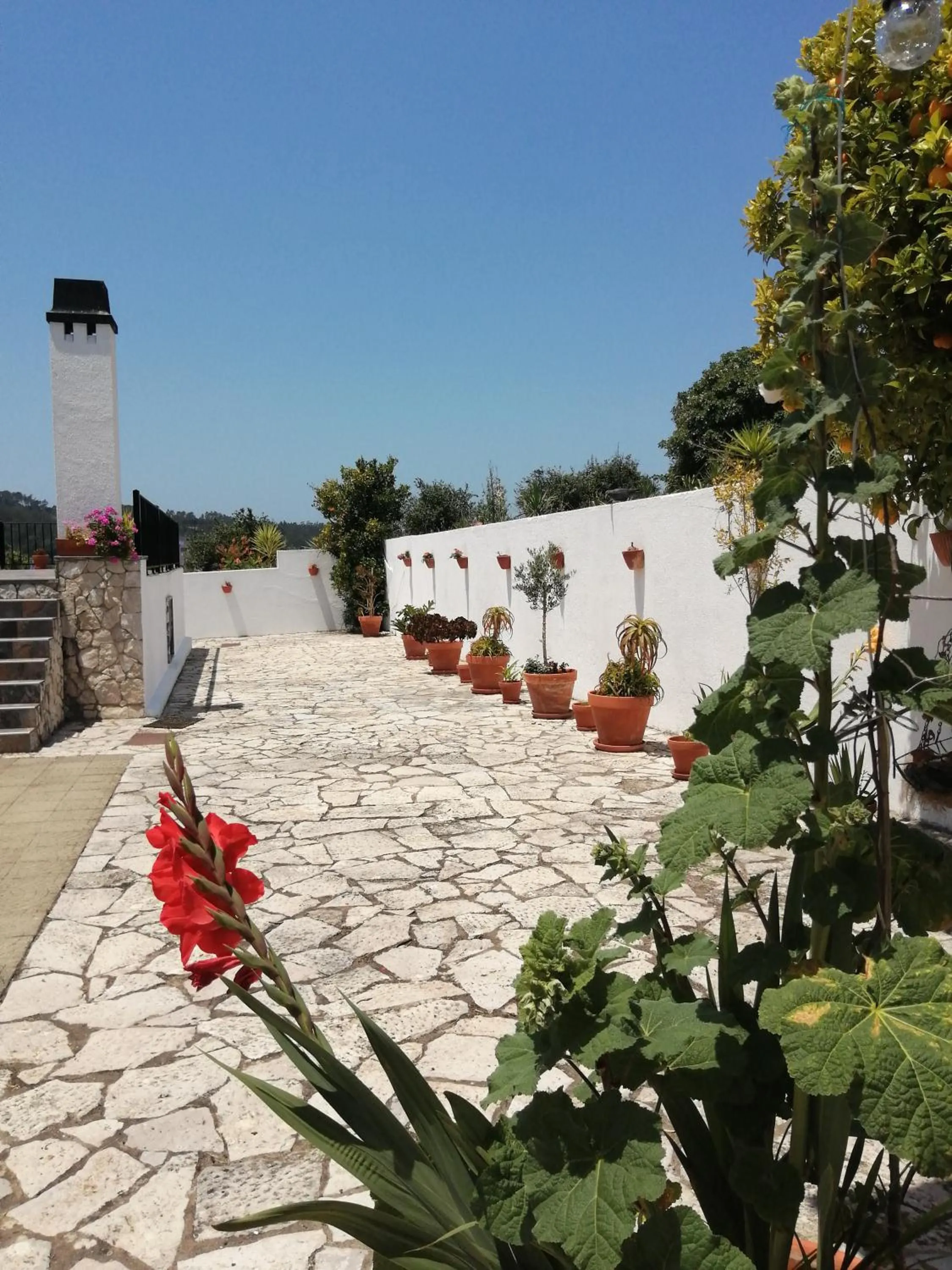 Patio in BB Silvercoast Casa das Flores