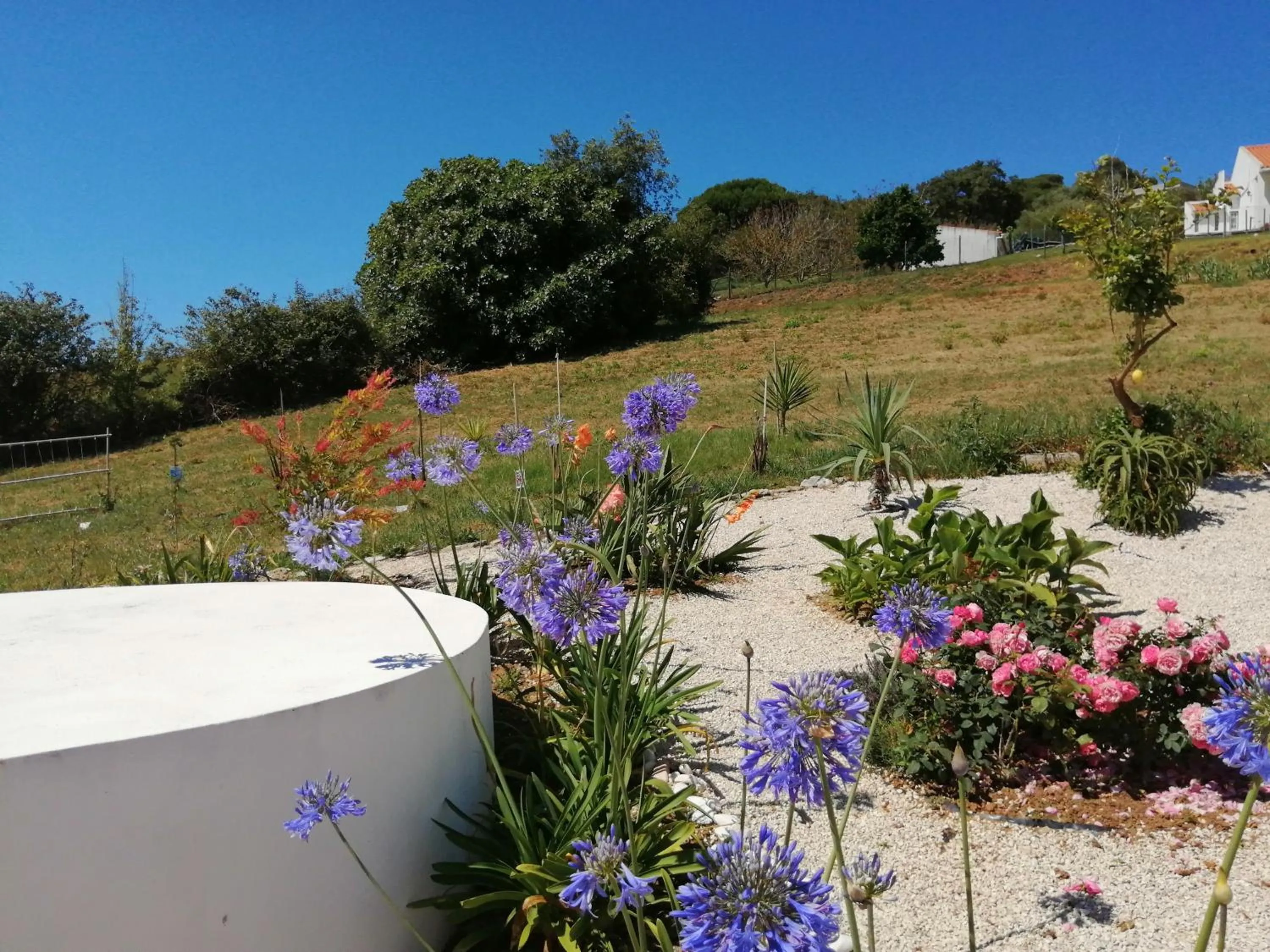 Garden in BB Silvercoast Casa das Flores