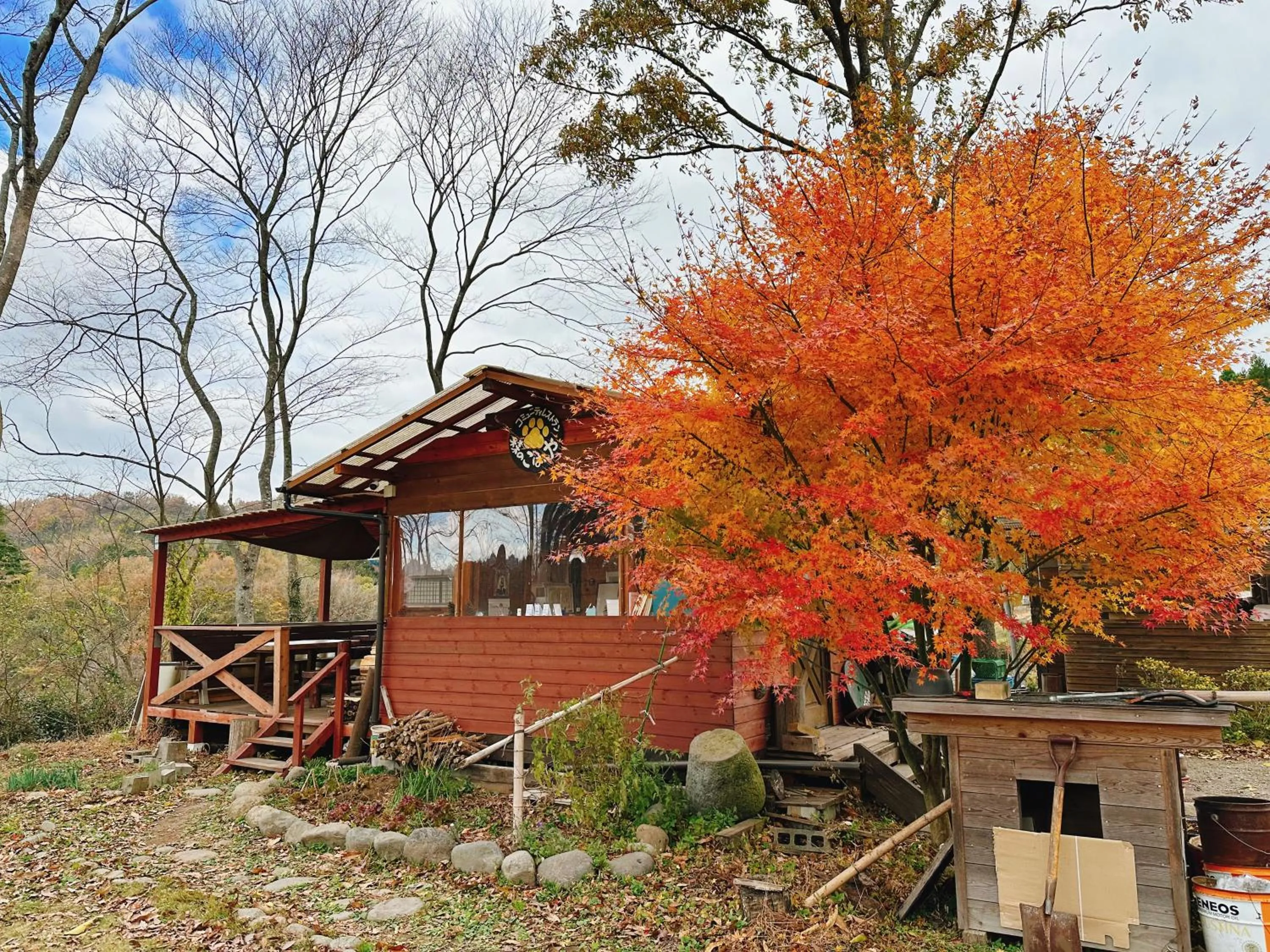Starry Forest Inn KURIHAI