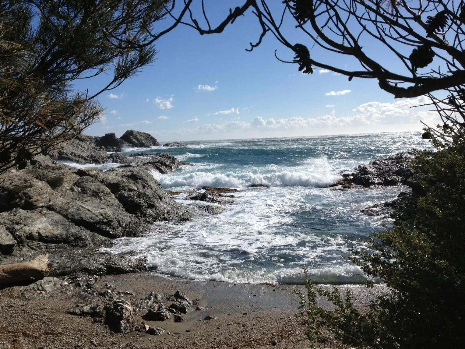 Natural landscape in Villa Batelo