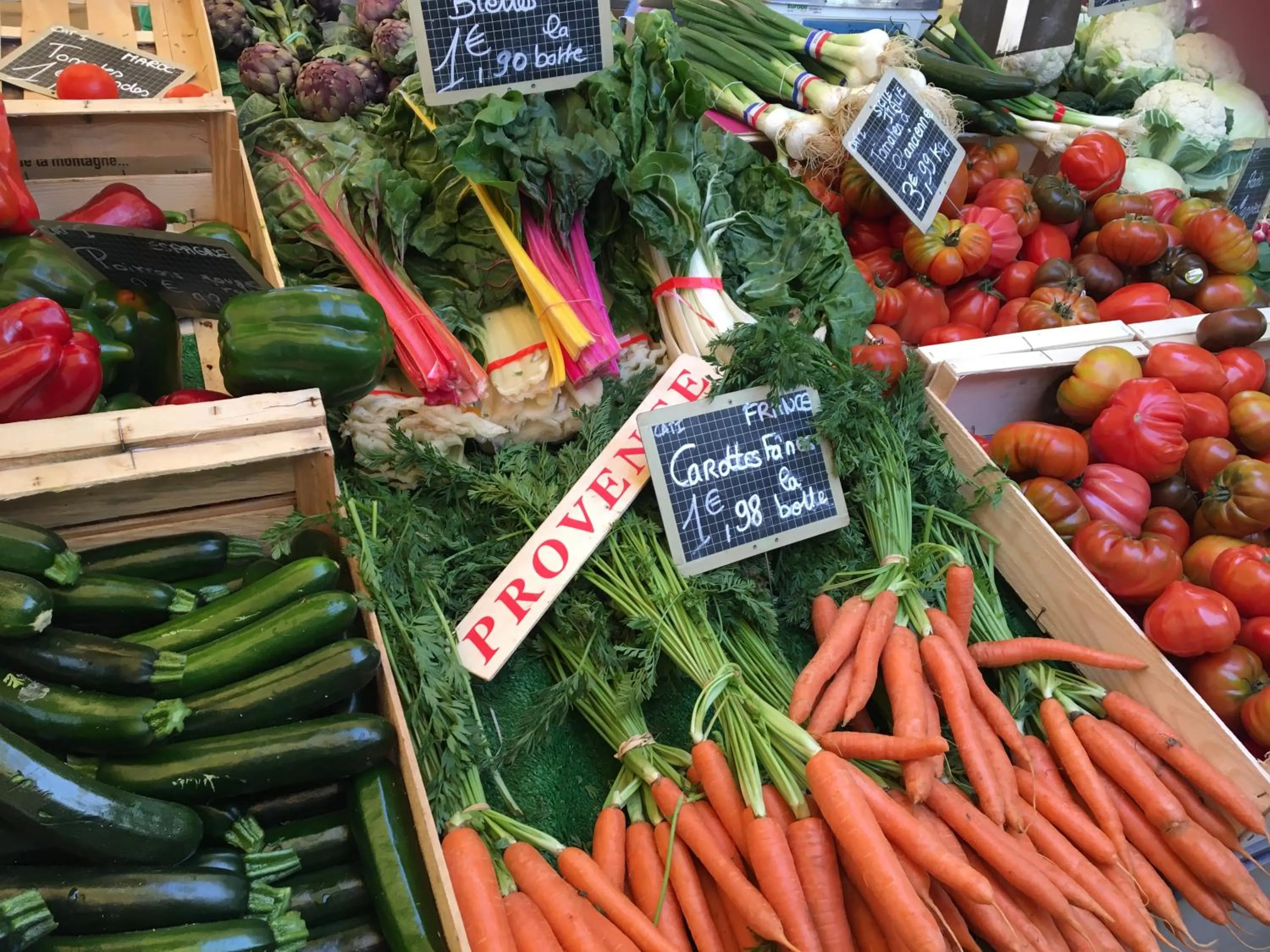 Activities in Villa Batelo