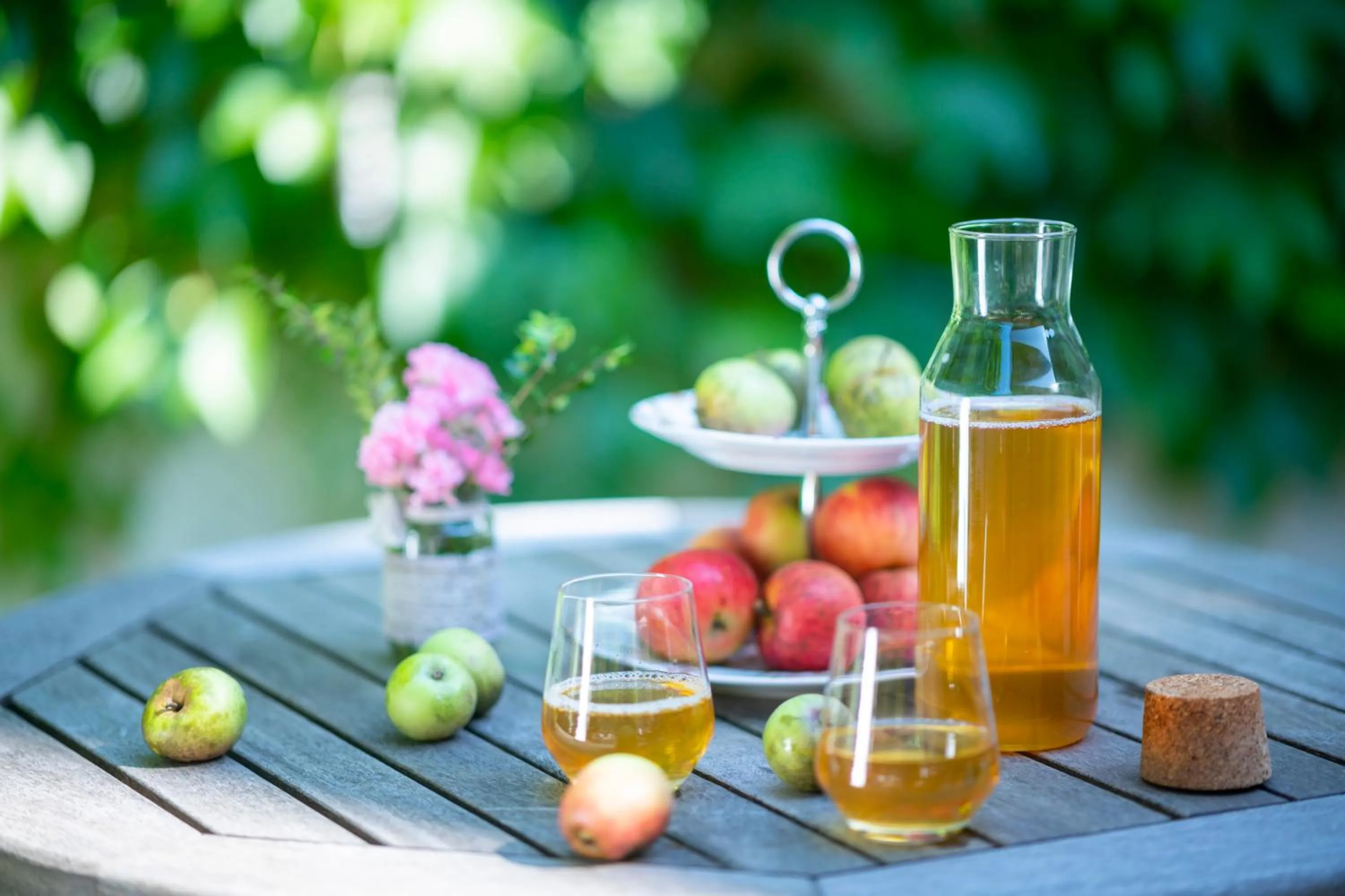 On site in Kendov Dvorec