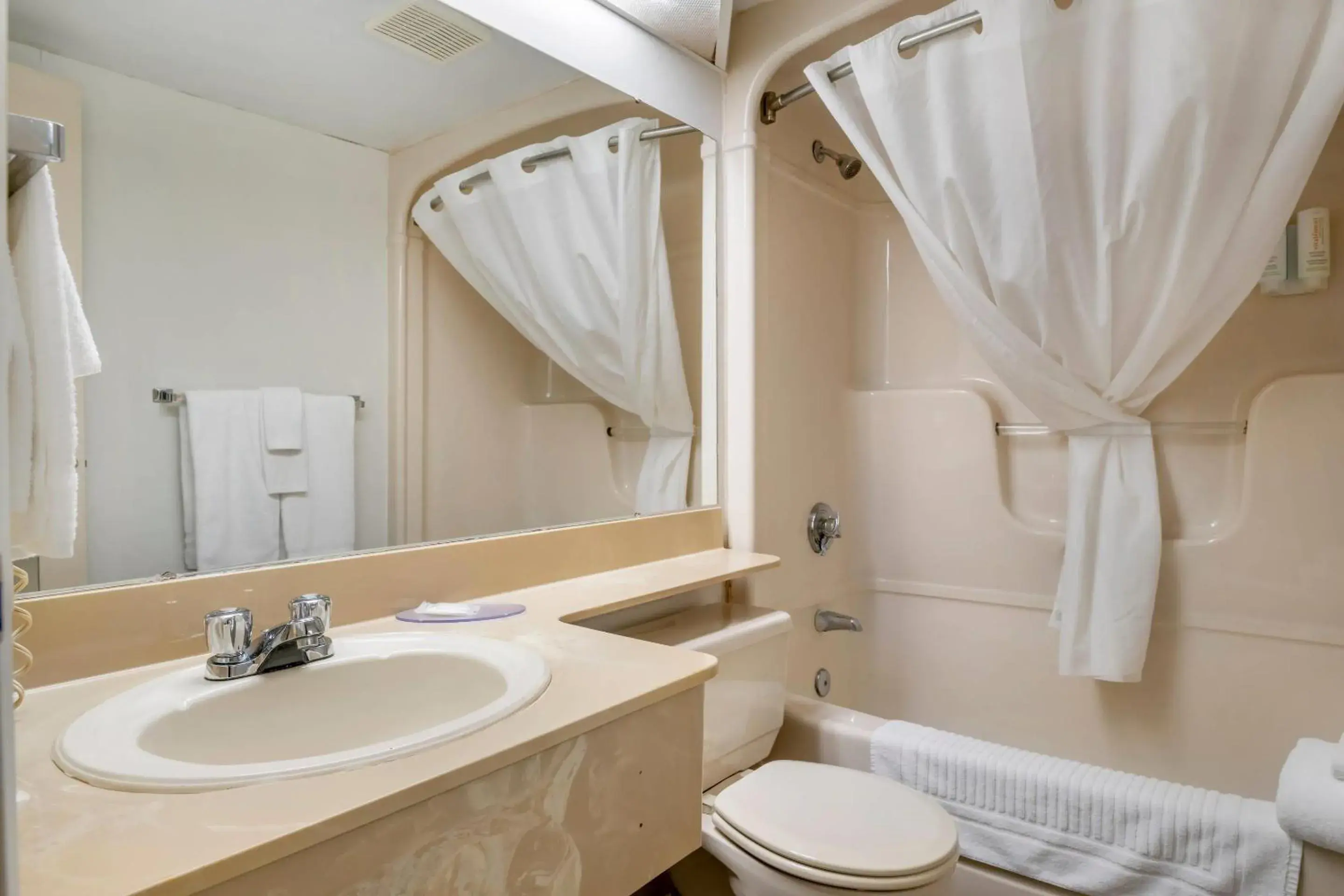 Bedroom in Rodeway Inn Bedroom in Rodeway Inn