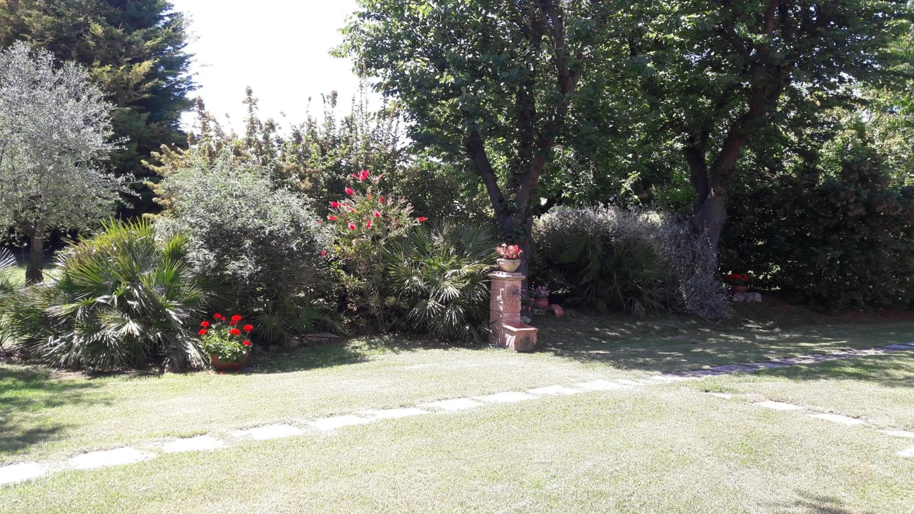 Garden in Villa Fabbri