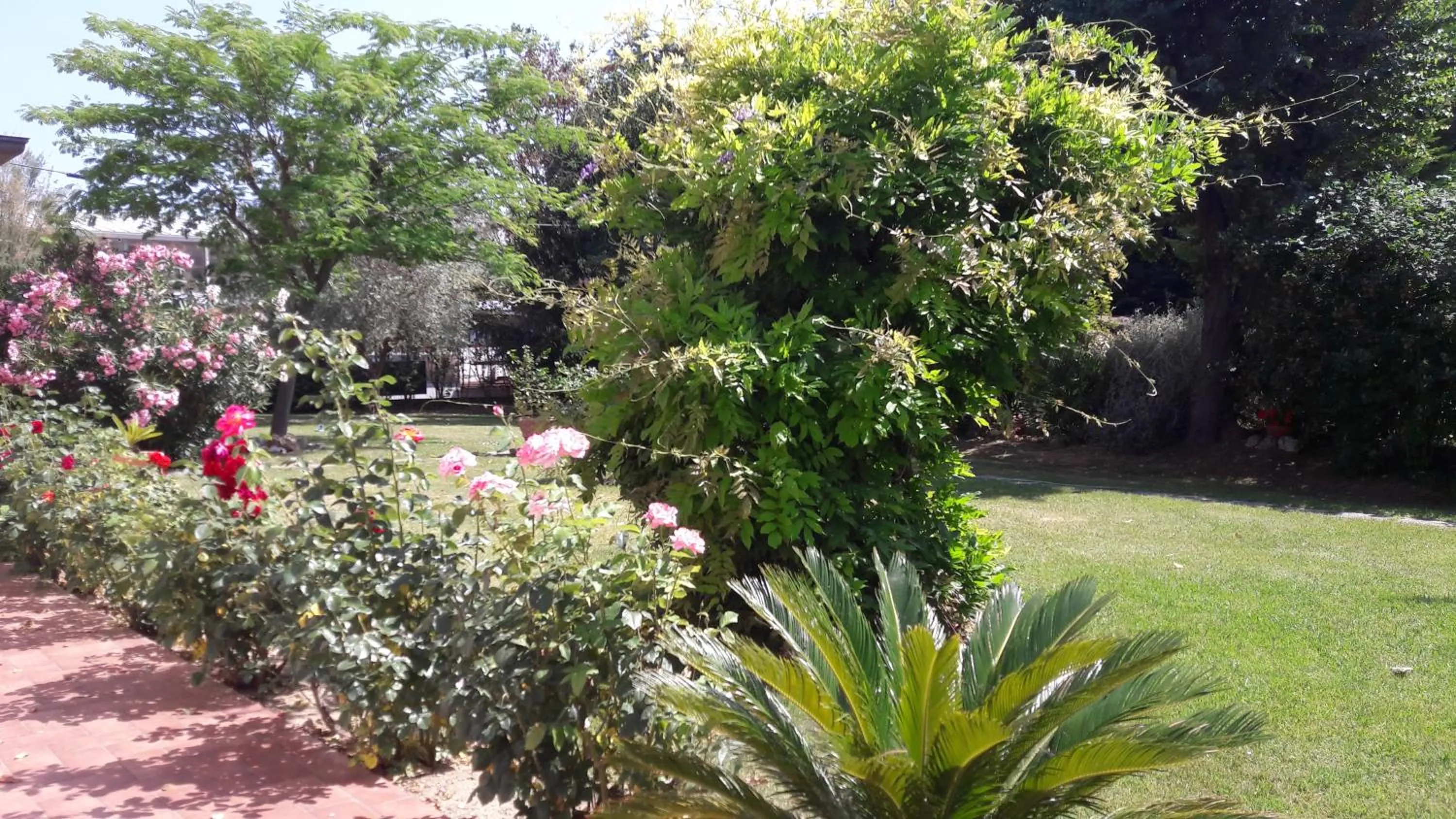 Garden in Villa Fabbri