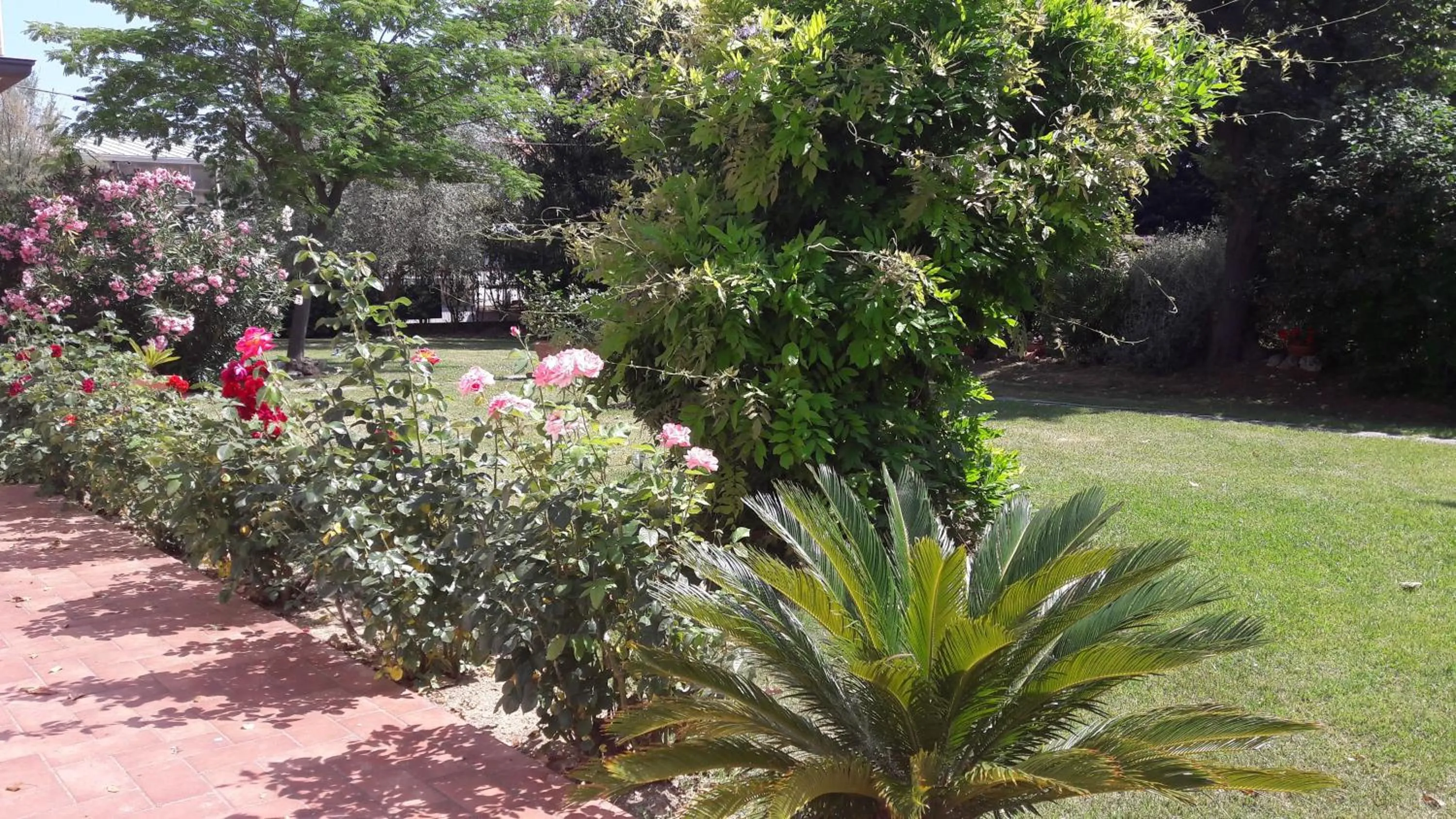 Garden in Villa Fabbri