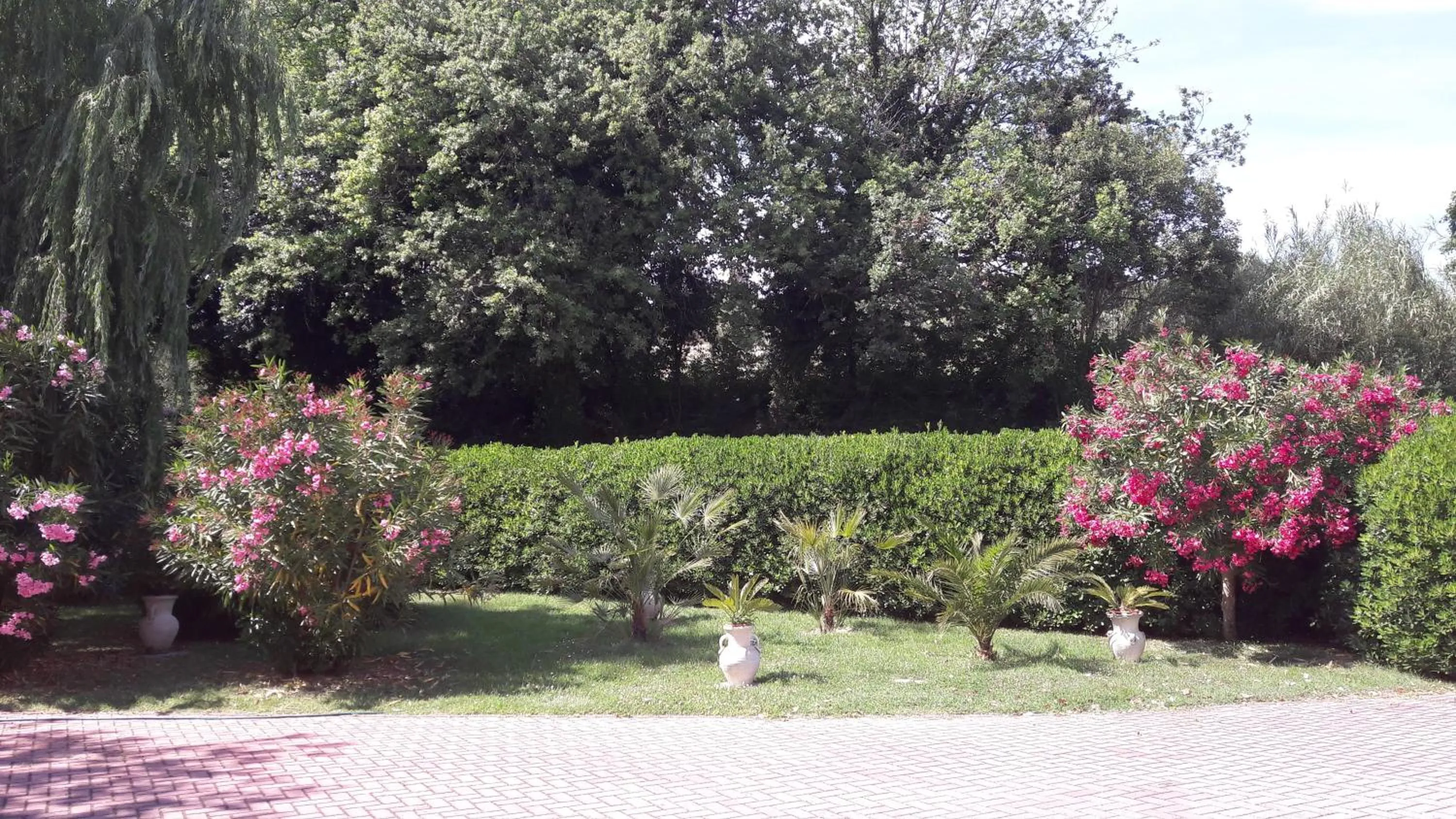 Garden in Villa Fabbri