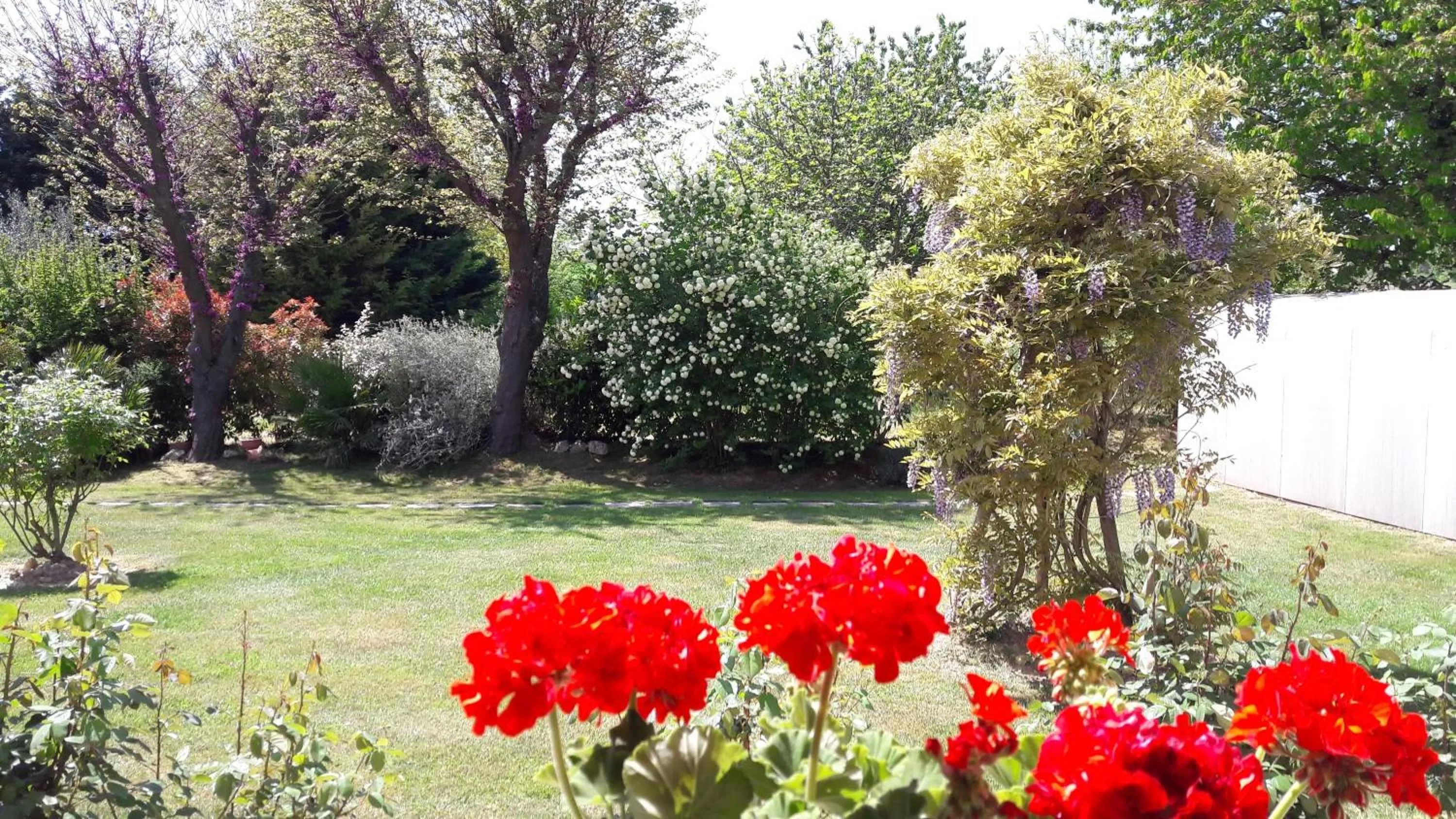 Garden in Villa Fabbri