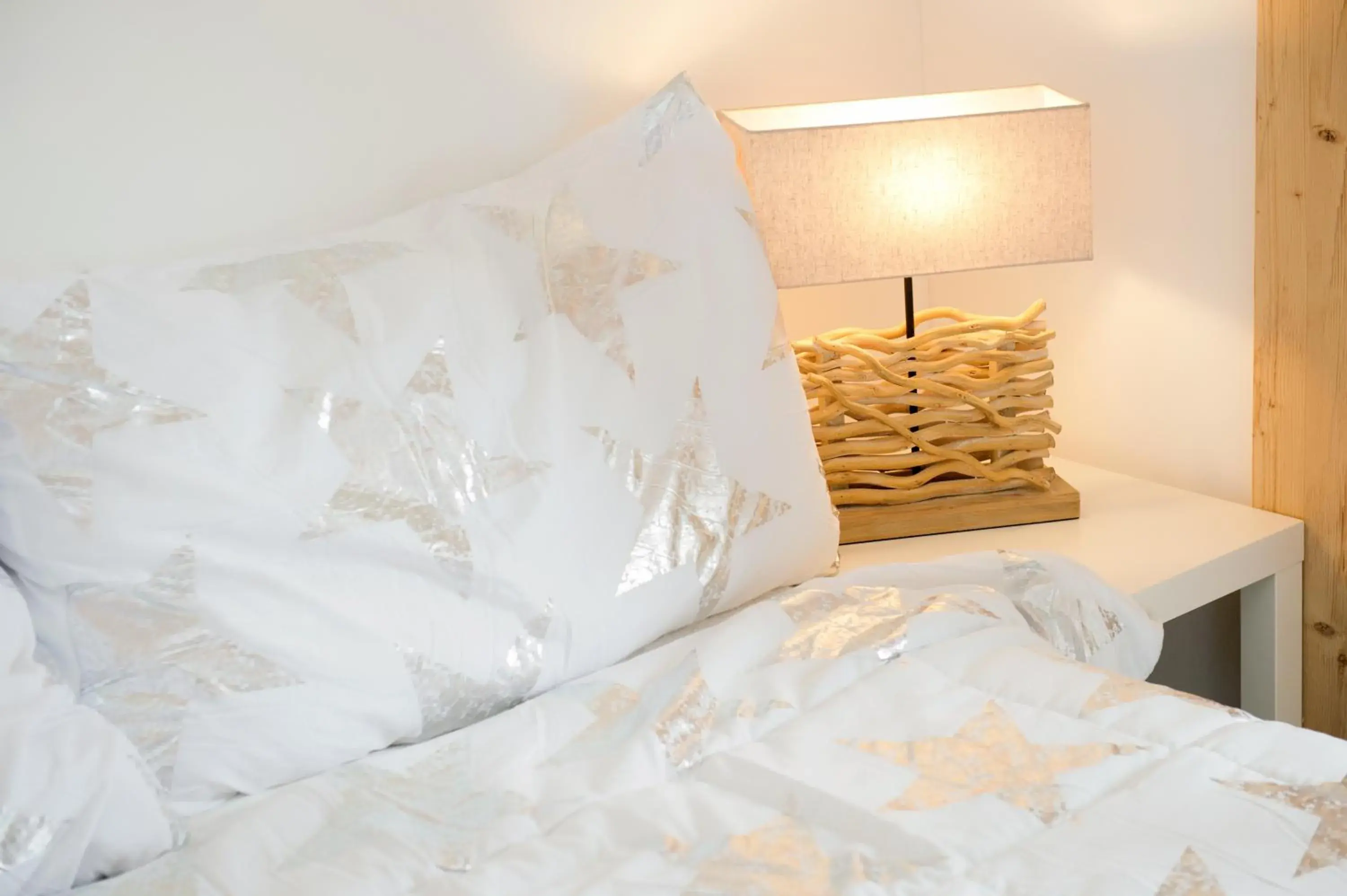 Double Room - single occupancy in Hotel Bellevue Double Room - single occupancy in Hotel Bellevue