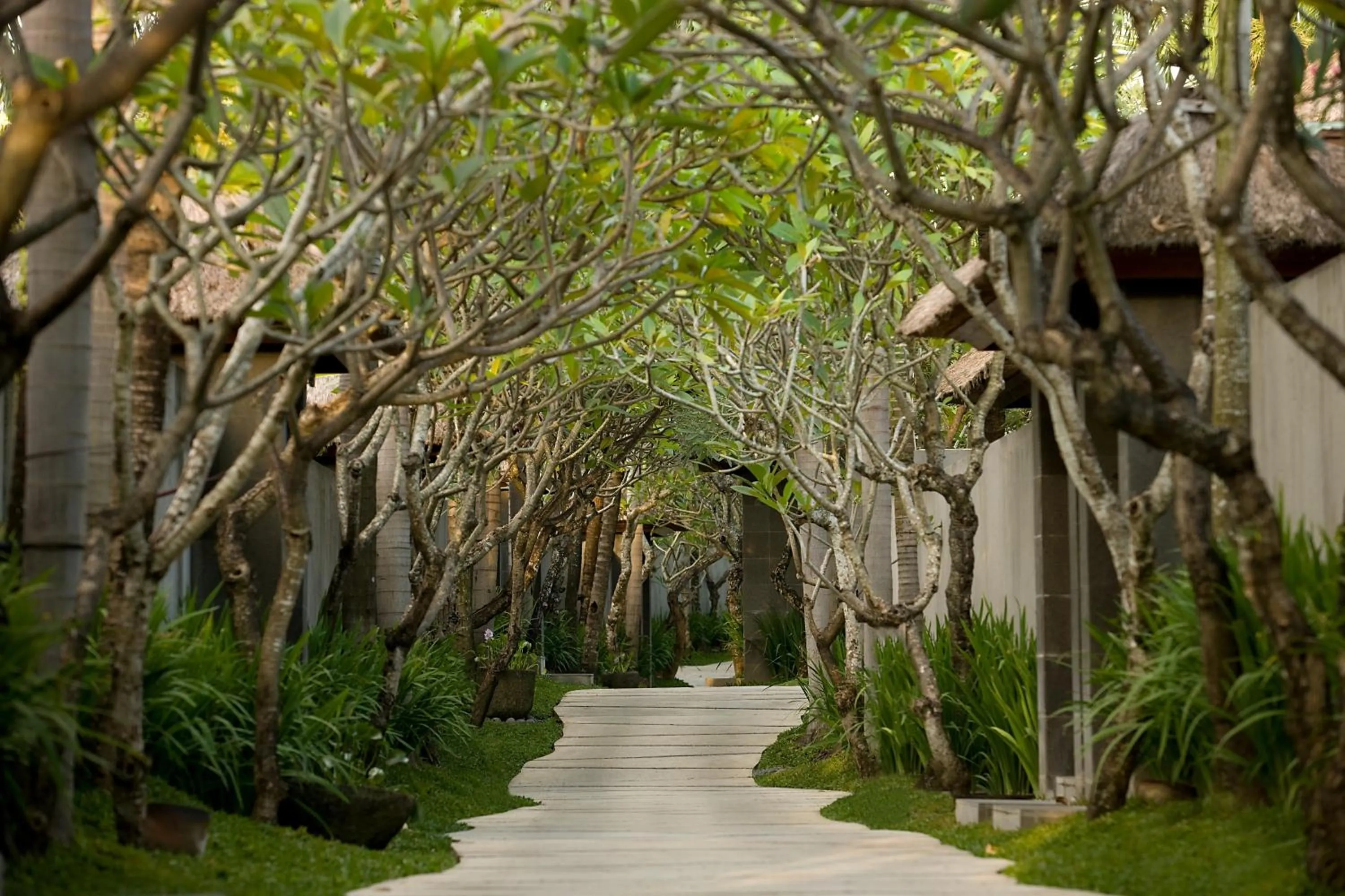 Garden in The Kayana