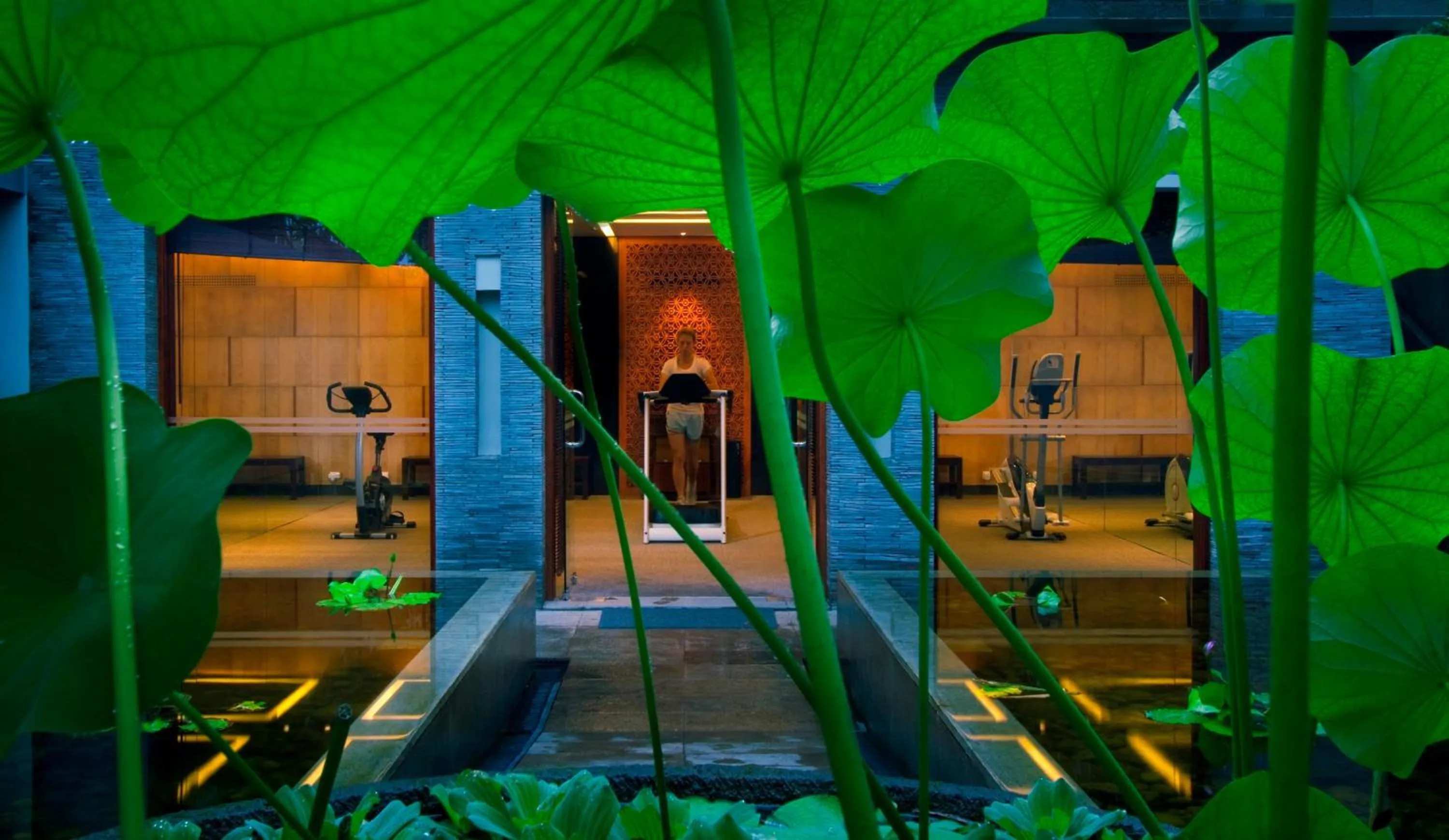 Fitness centre/facilities in The Kayana