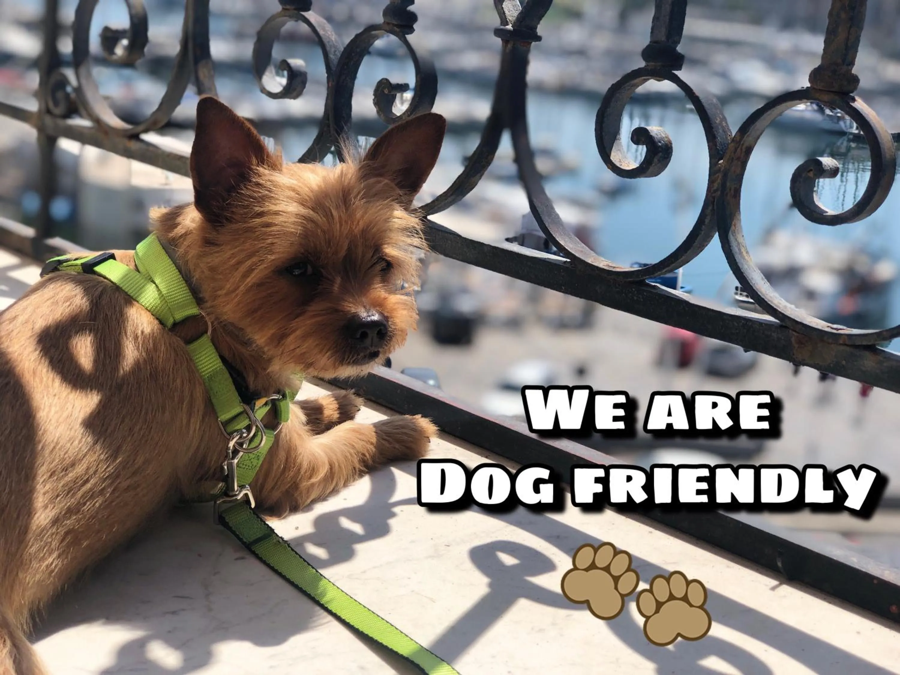 Other in Kasa Kala Rooms & Apartments