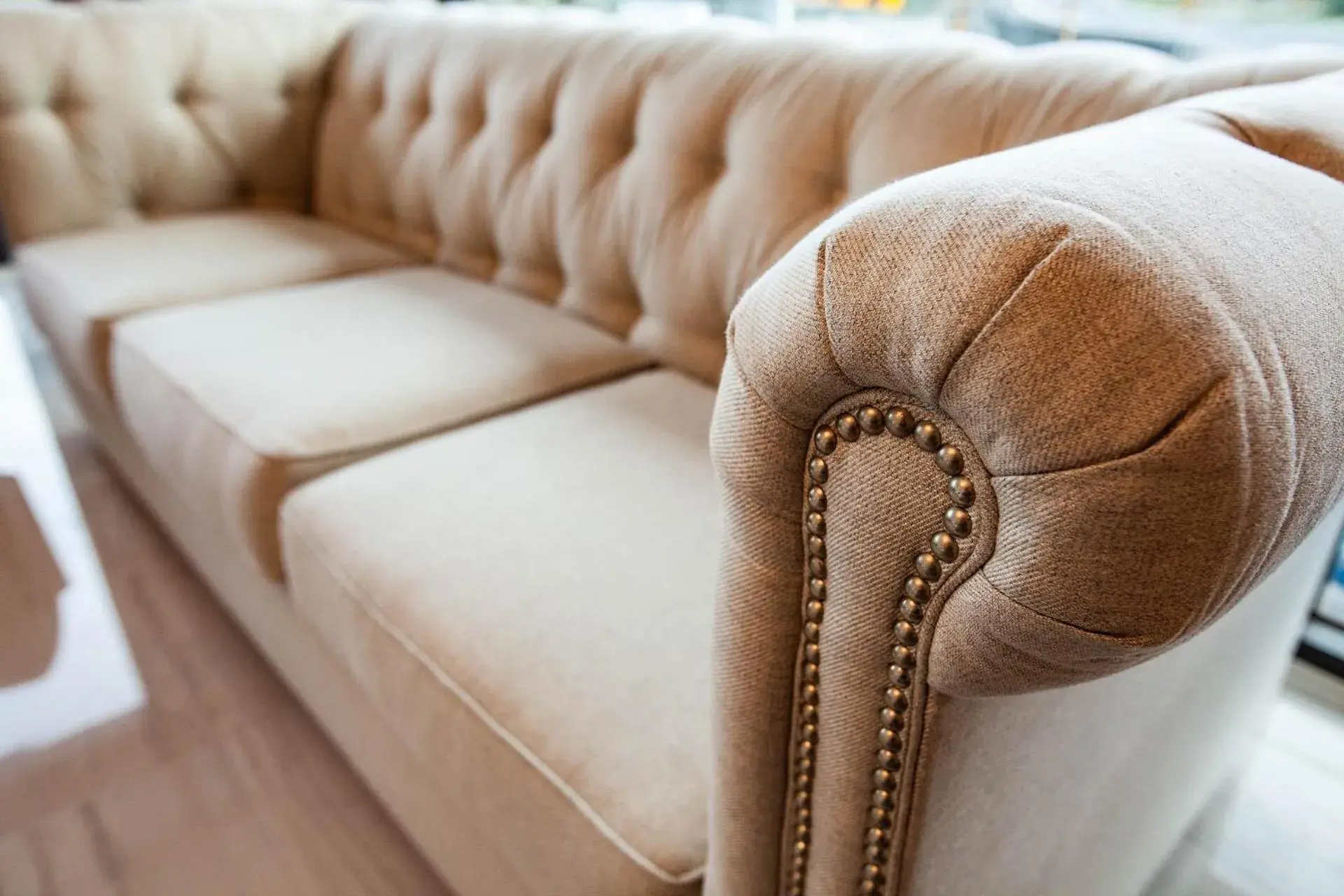 Rambling Snail Rambling Snail