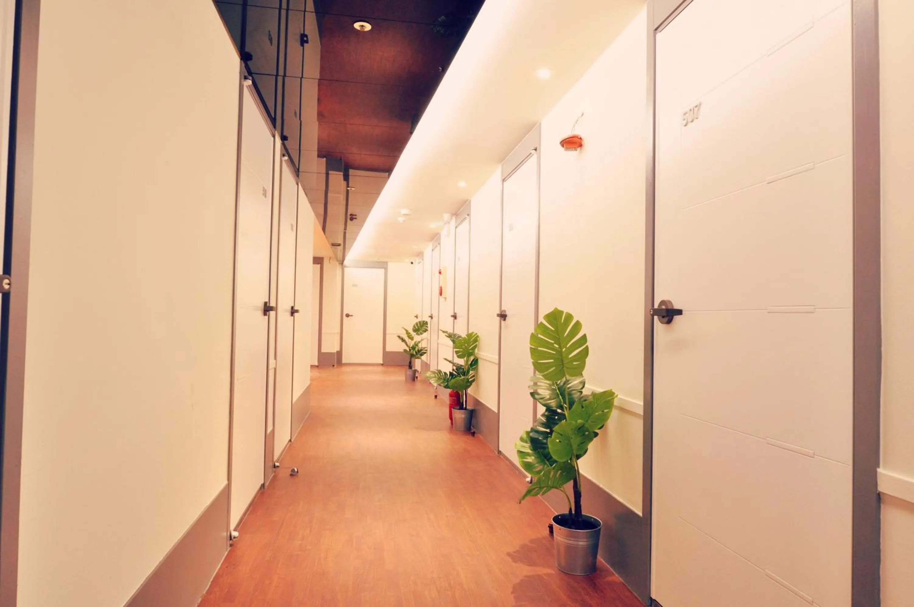 Decorative detail in OYO Hostel Myeongdong 3