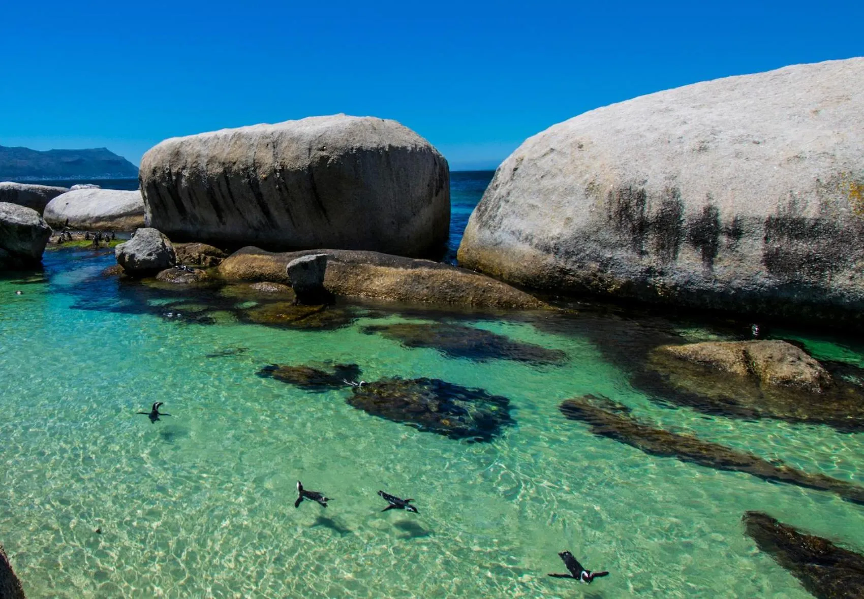 The Willets Boutique Hotel in Simon's Town