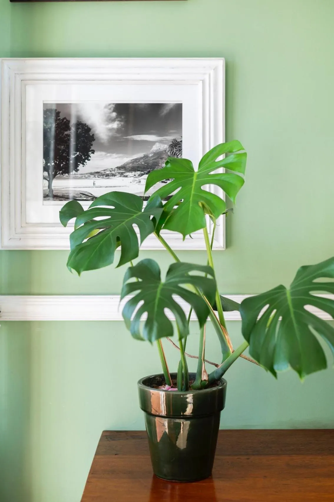 The Willets Boutique Hotel in Simon's Town