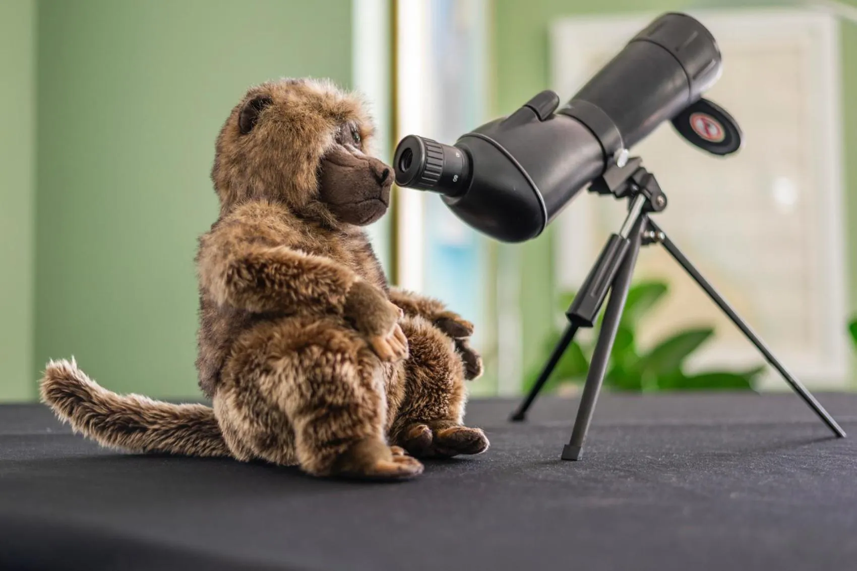 The Willets Boutique Hotel in Simon's Town