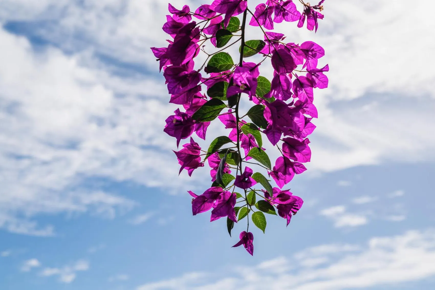 The Willets Boutique Hotel in Simon's Town