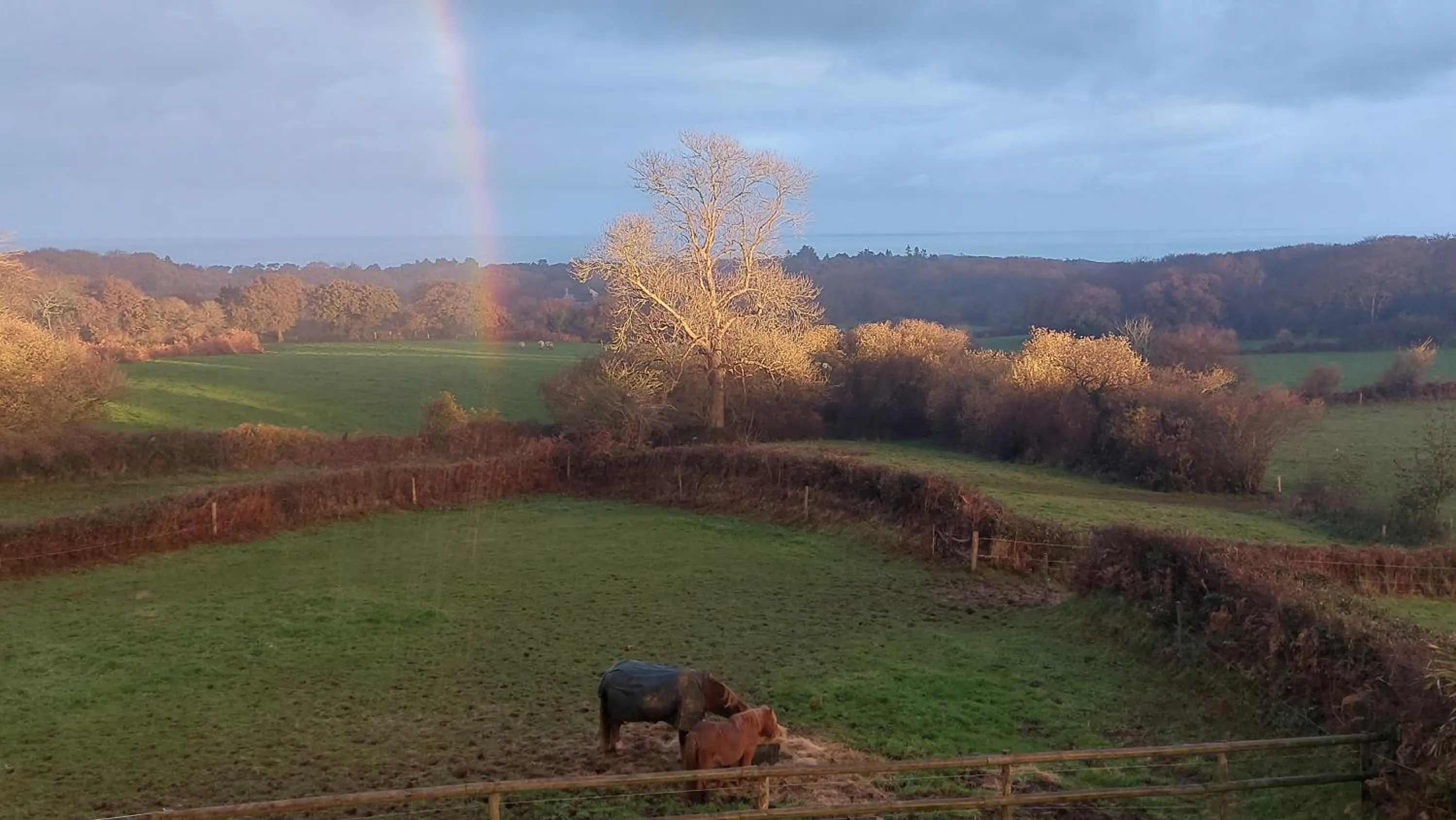 View (from property/room) in Les deux caps