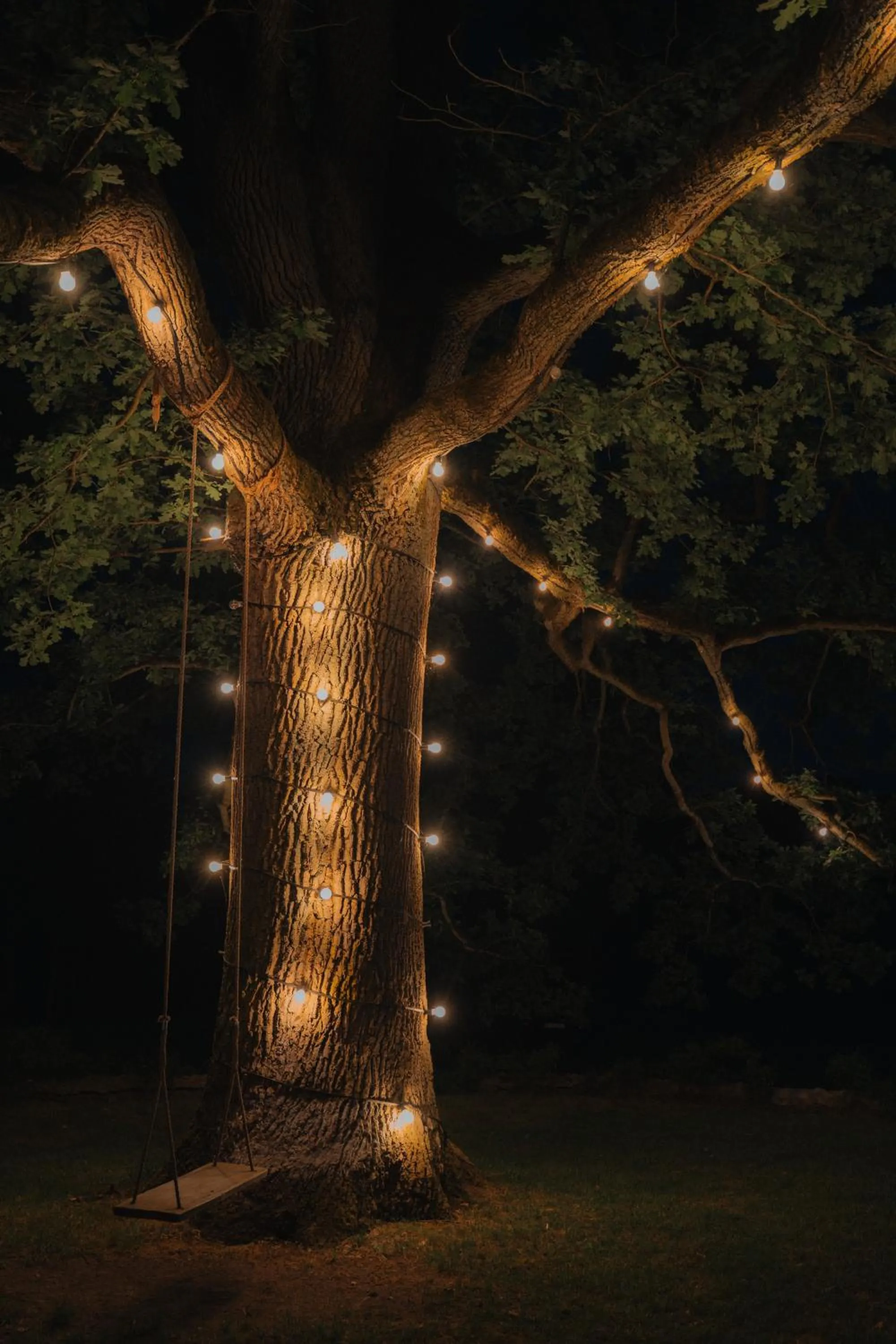 Natural landscape in Folwark Wielka Wieś - Pałac pod Dębem